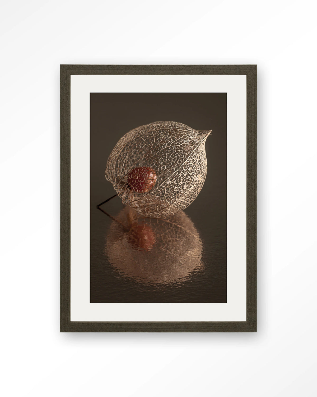 De Reflectie Van Vergankelijkheid In Bruintinten – lampionplant in bruintinten – Art print – Hout donkerbruin + passe-partout