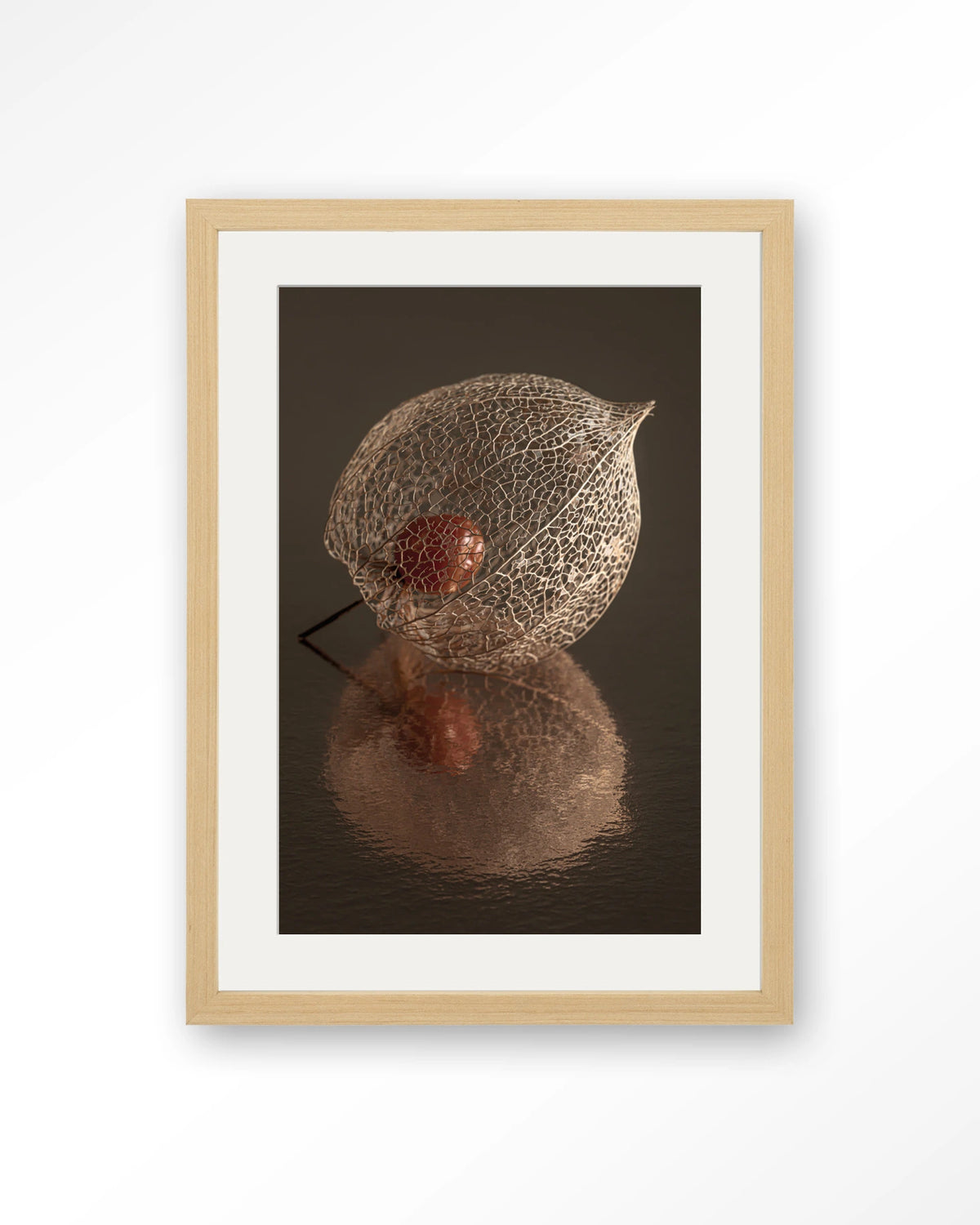 De Reflectie Van Vergankelijkheid In Bruintinten – lampionplant in bruintinten – Art print – Hout naturel + passe-partout