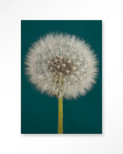 Pluizige Paardenbloem – Wandkleed