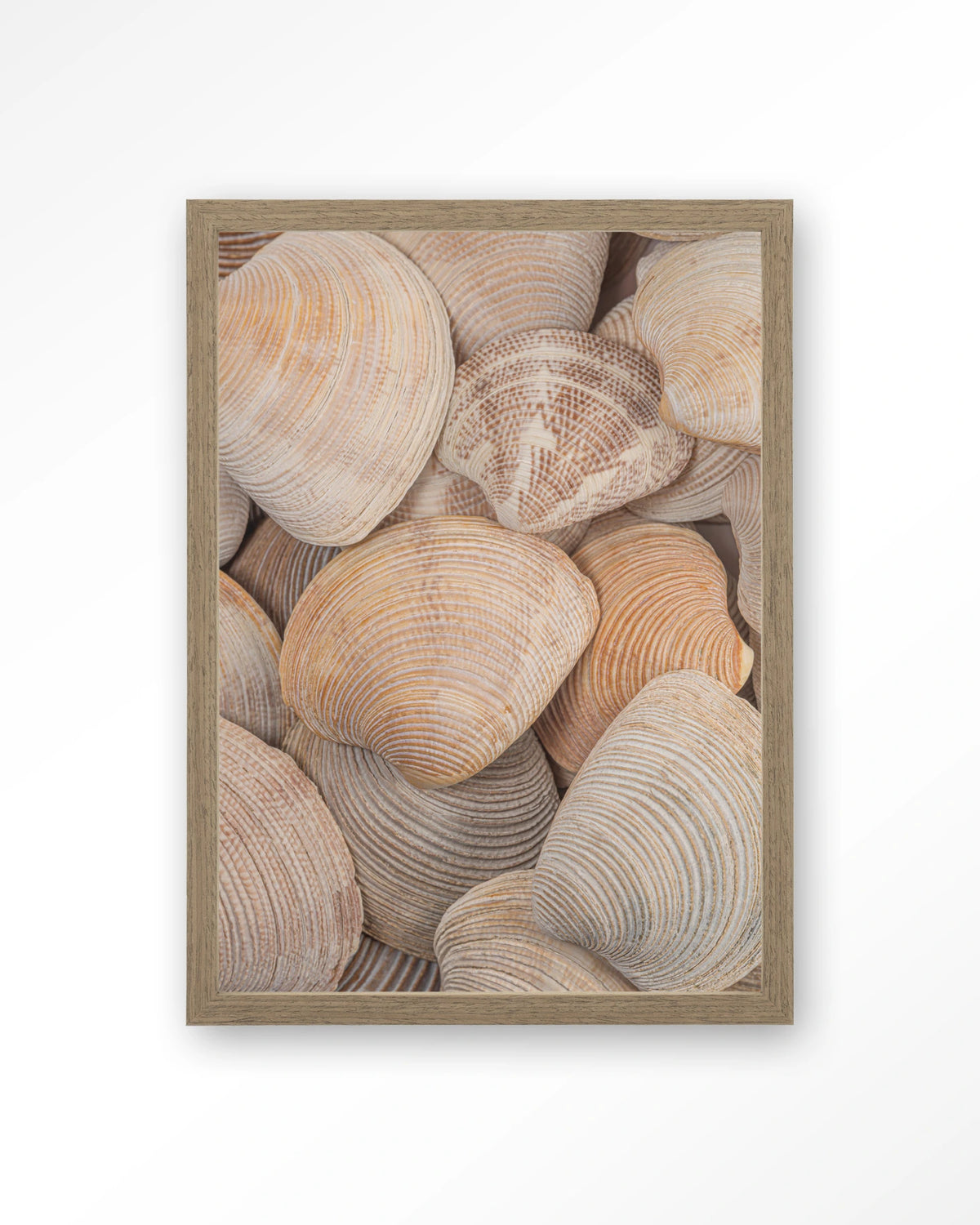 Tijdloze Rust: In Een Zee Van Schelpen – schelpen close-up – Art print – Hout bruin