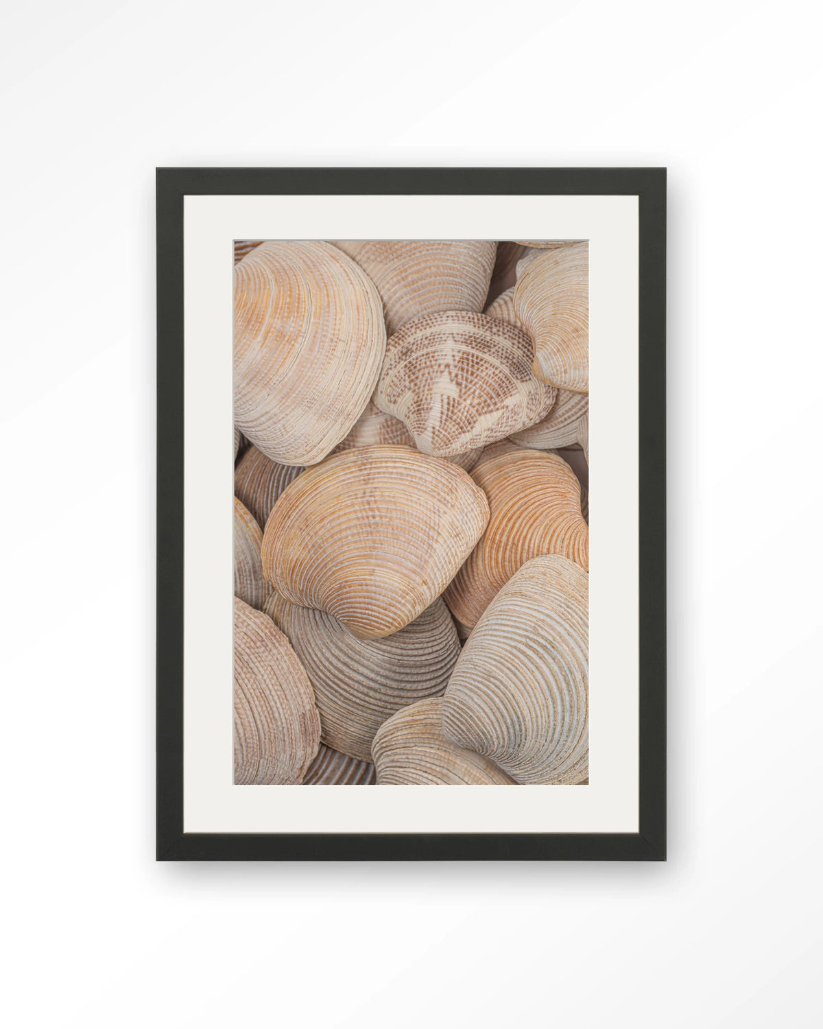 Tijdloze Rust: In Een Zee Van Schelpen – schelpen close-up – Art print – Hout zwart + passe-partout