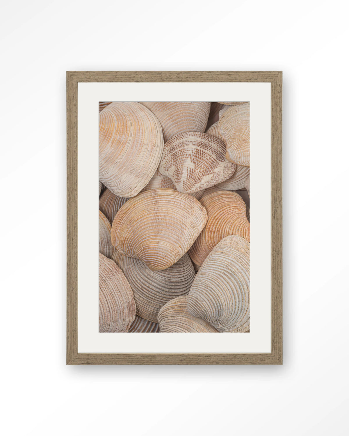Tijdloze Rust: In Een Zee Van Schelpen – schelpen close-up – Art print – Hout bruin + passe-partout