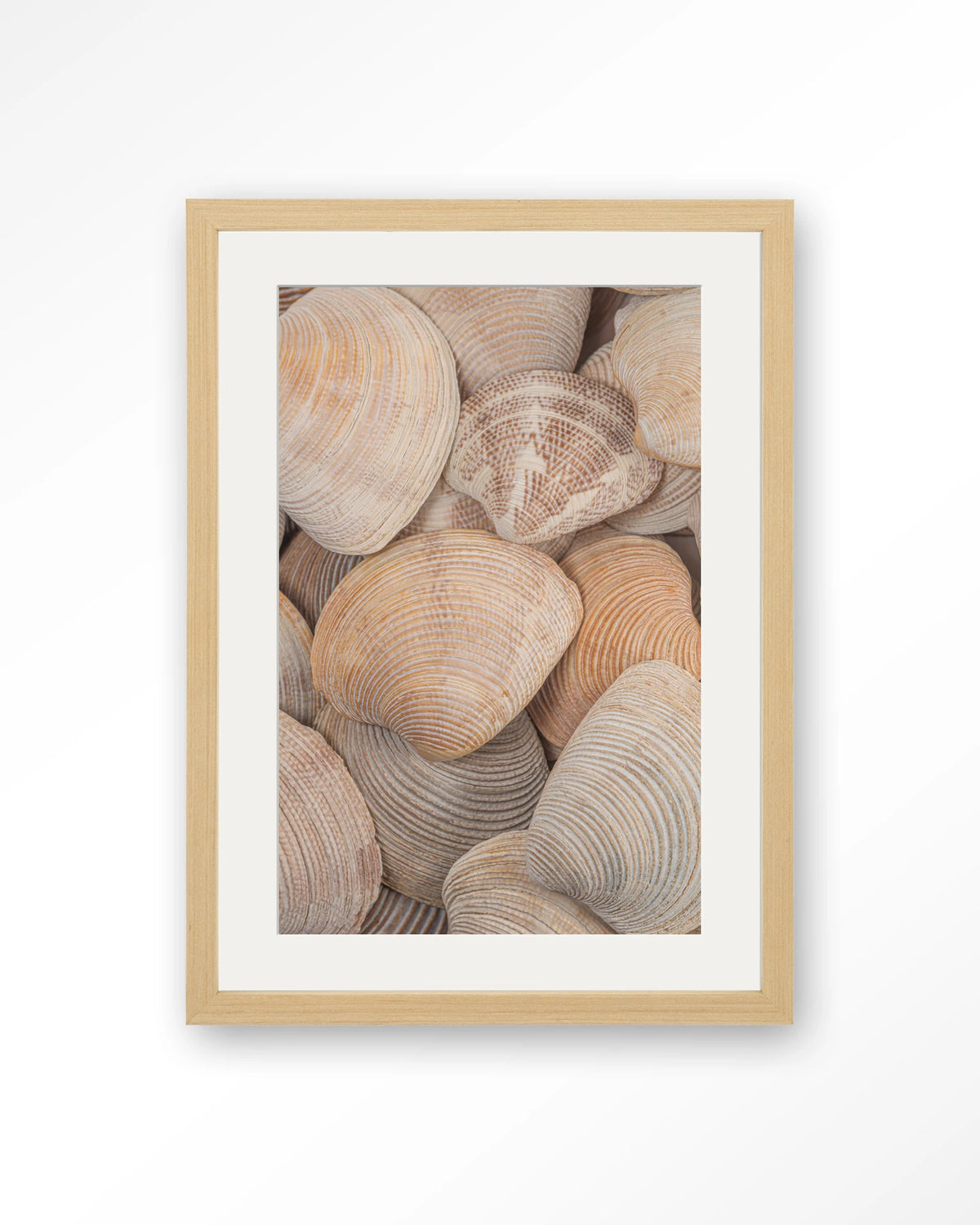Tijdloze Rust: In Een Zee Van Schelpen – schelpen close-up – Art print – Hout naturel + passe-partout