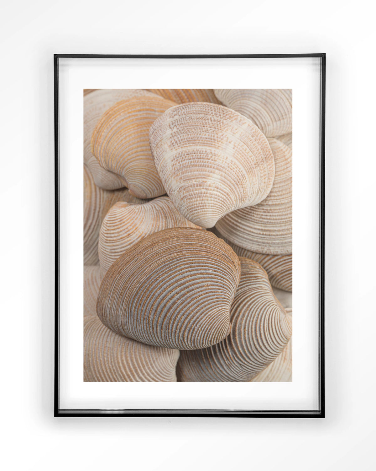 Tijdloze Rust: Samen – schelpen in beige en bruin – Art print – Acryl zwart