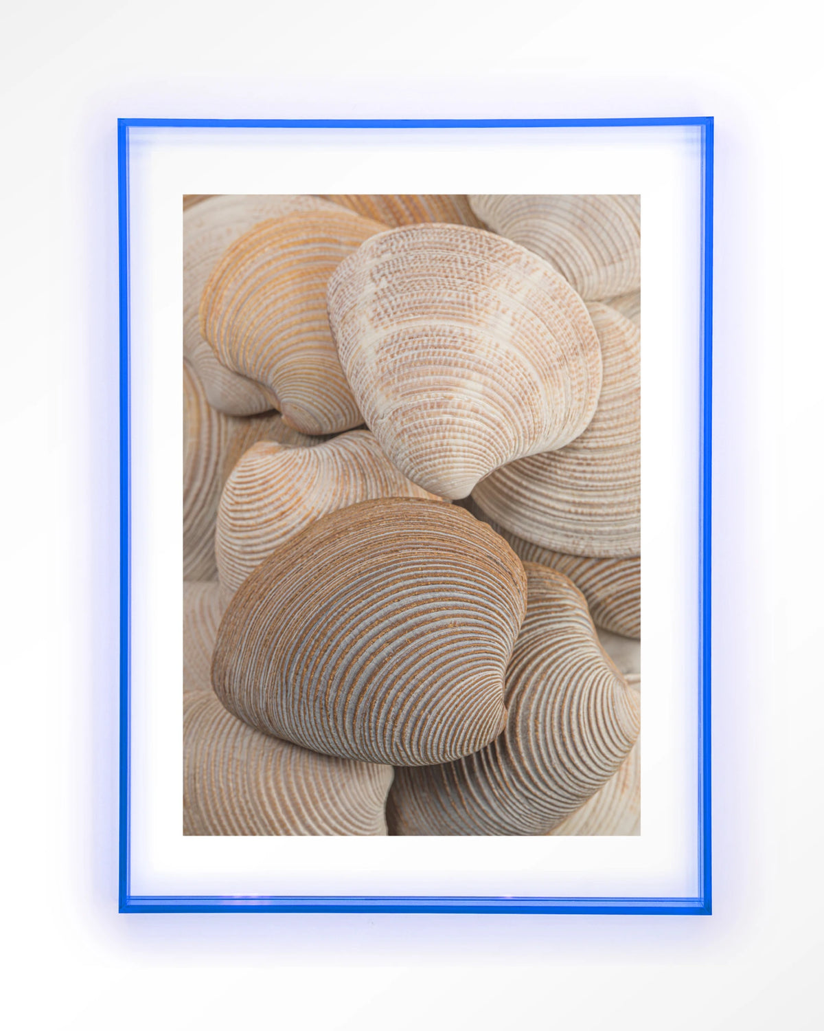 Tijdloze Rust: Samen – schelpen in beige en bruin – Art print – Acryl lichtblauw