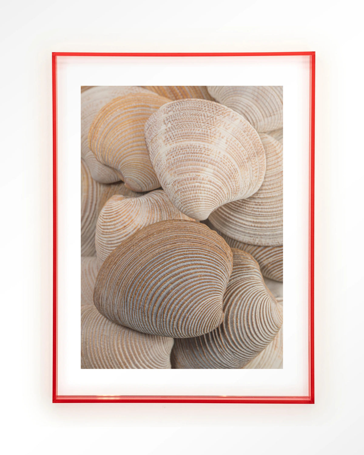 Tijdloze Rust: Samen – schelpen in beige en bruin – Art print – Acryl roze