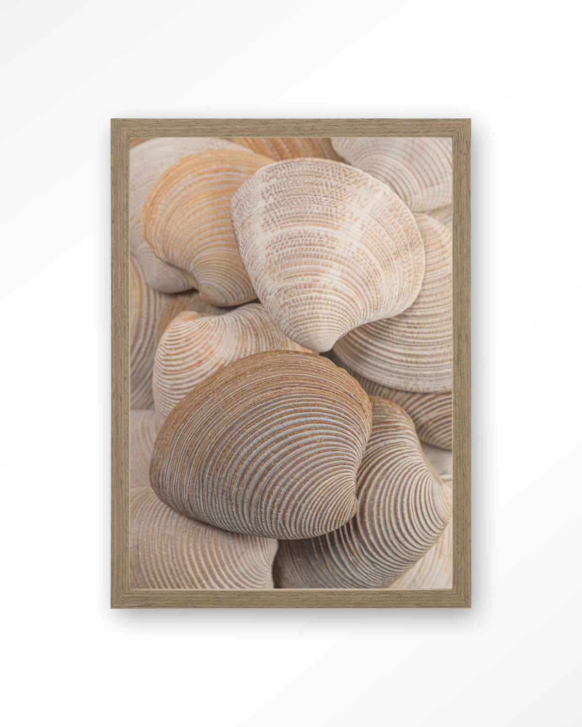 Tijdloze Rust: Samen – schelpen in beige en bruin – Art print – Hout bruin