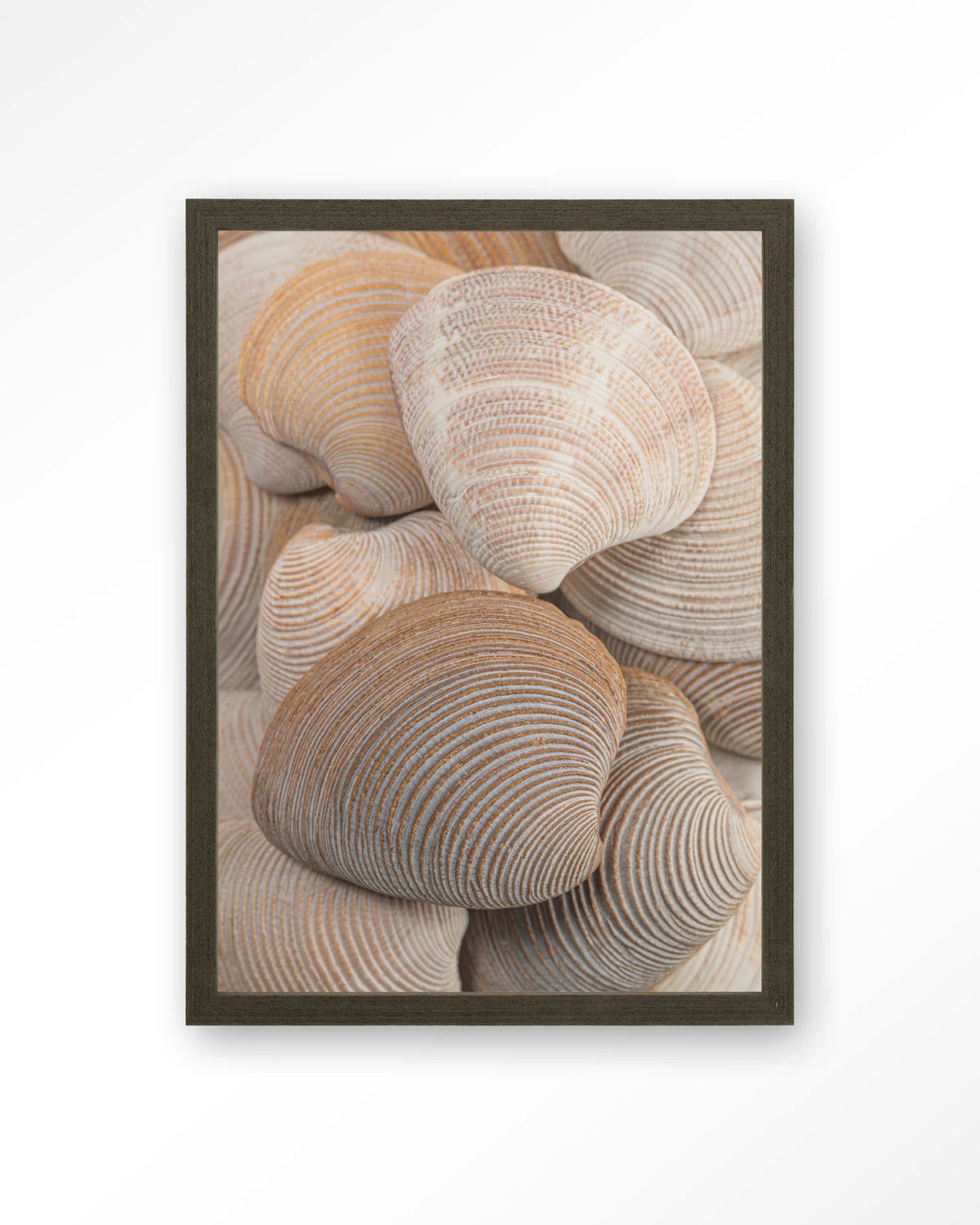 Tijdloze Rust: Samen – schelpen in beige en bruin – Art print – Hout donkerbruin