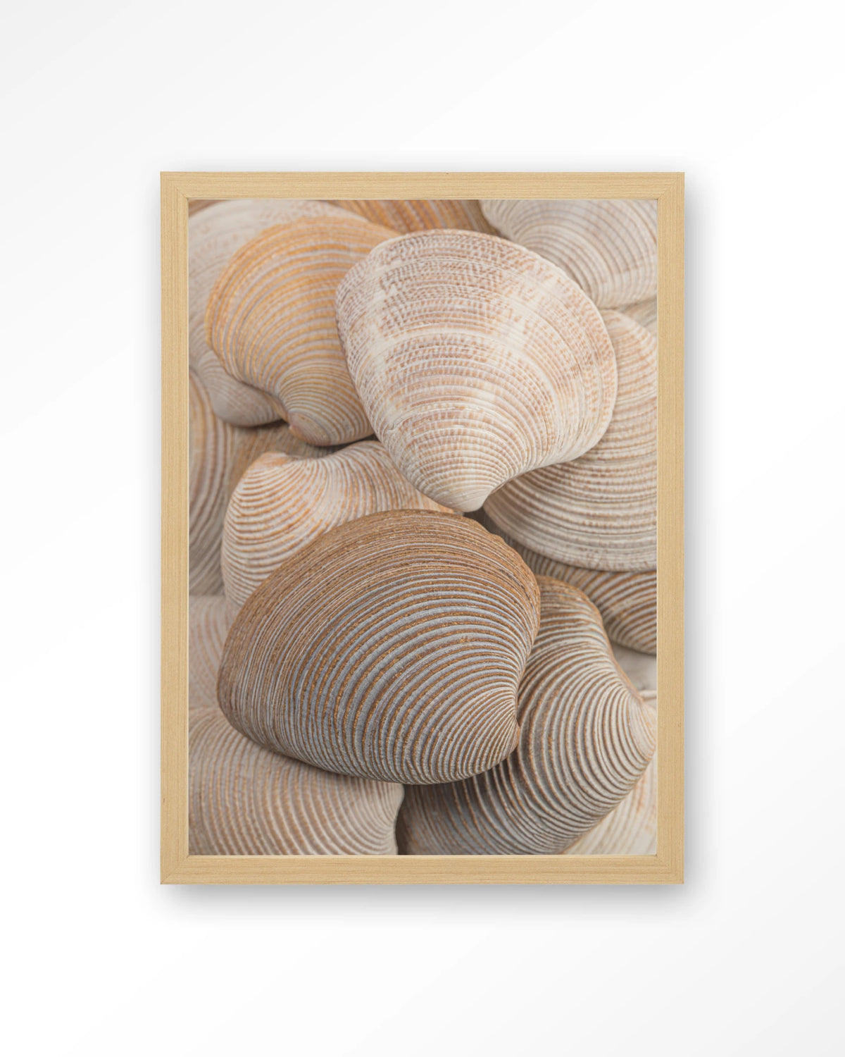 Tijdloze Rust: Samen – schelpen in beige en bruin – Art print – Hout naturel