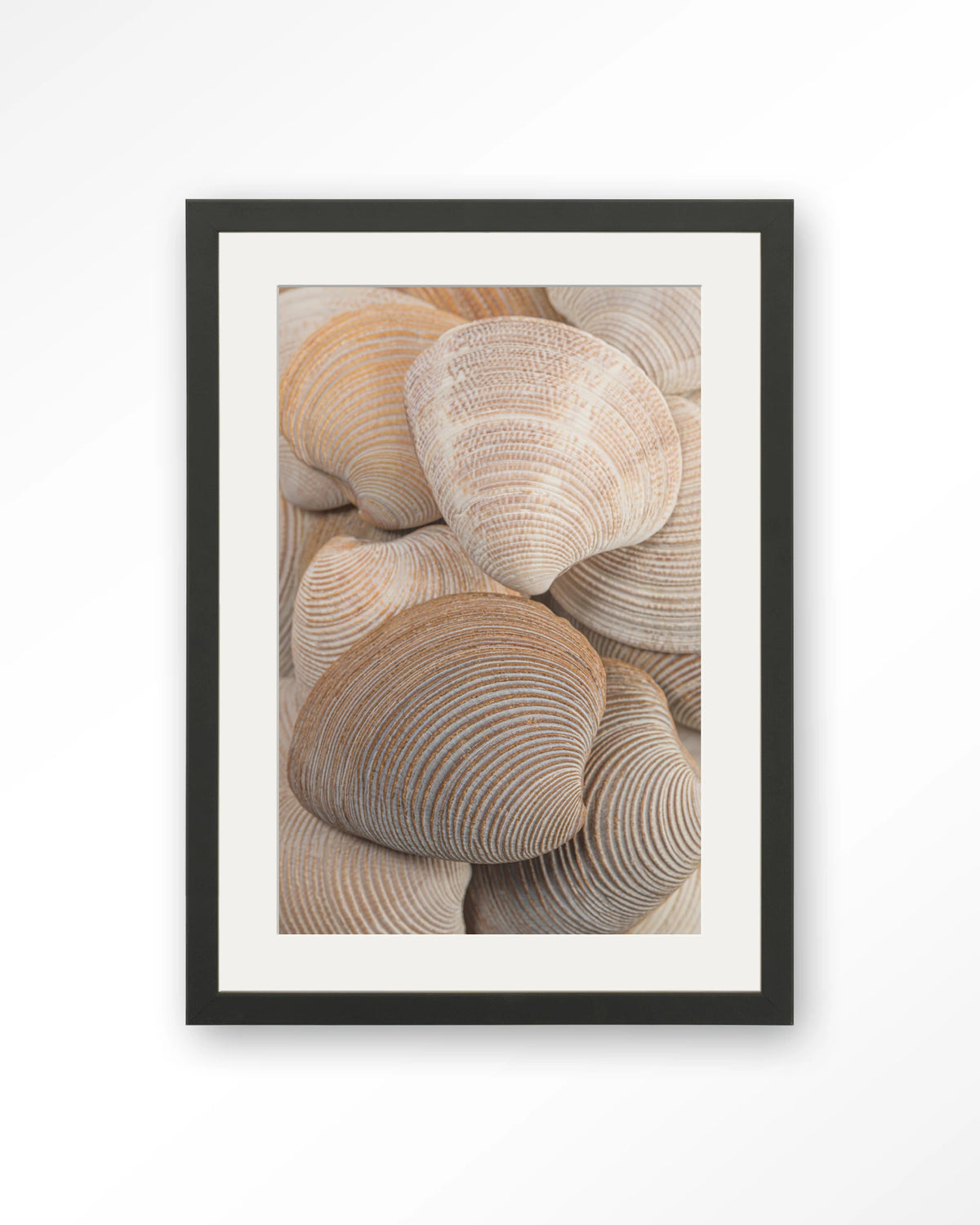 Tijdloze Rust: Samen – schelpen in beige en bruin – Art print – Hout zwart + passe-partout