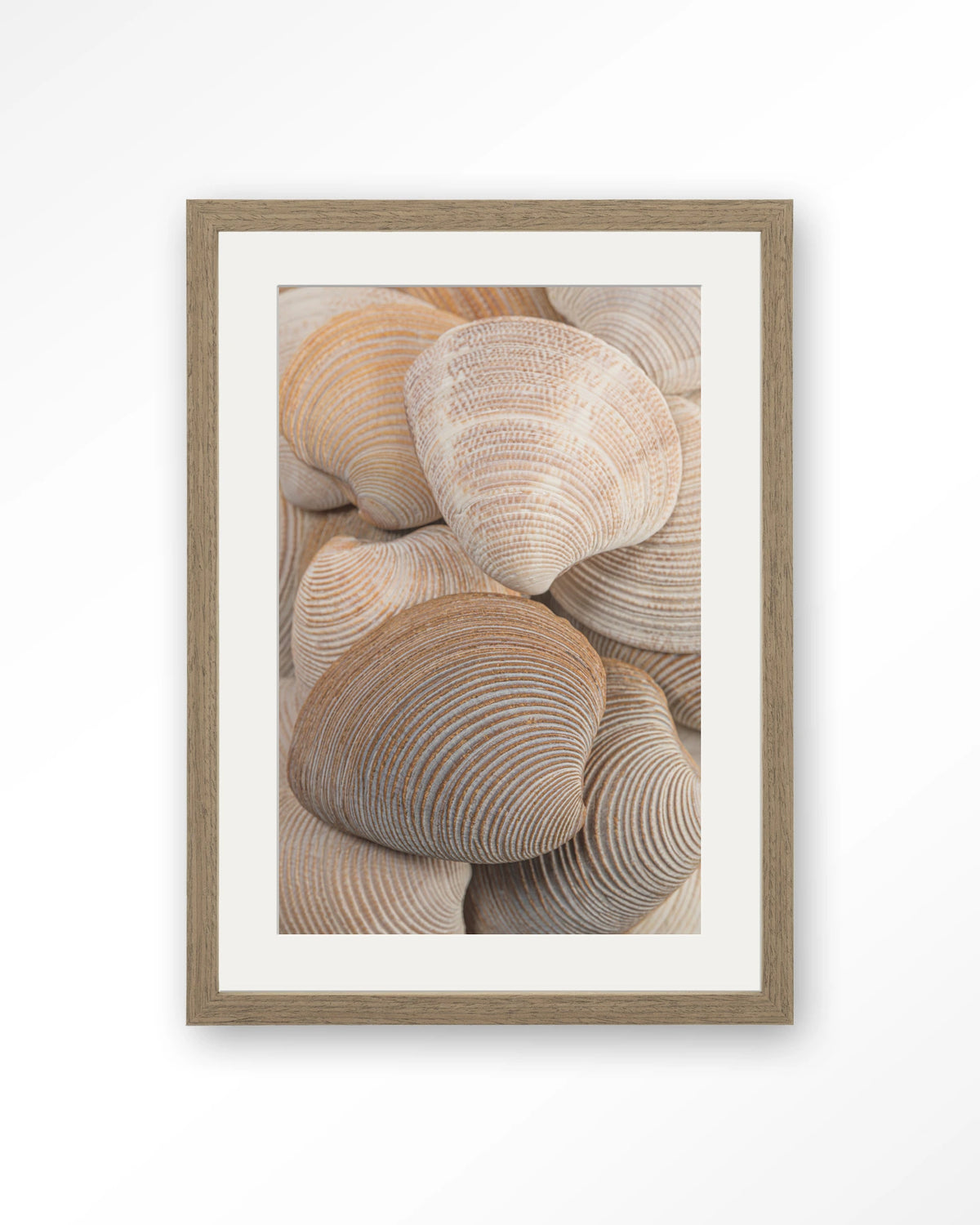 Tijdloze Rust: Samen – schelpen in beige en bruin – Art print – Hout bruin + passe-partout