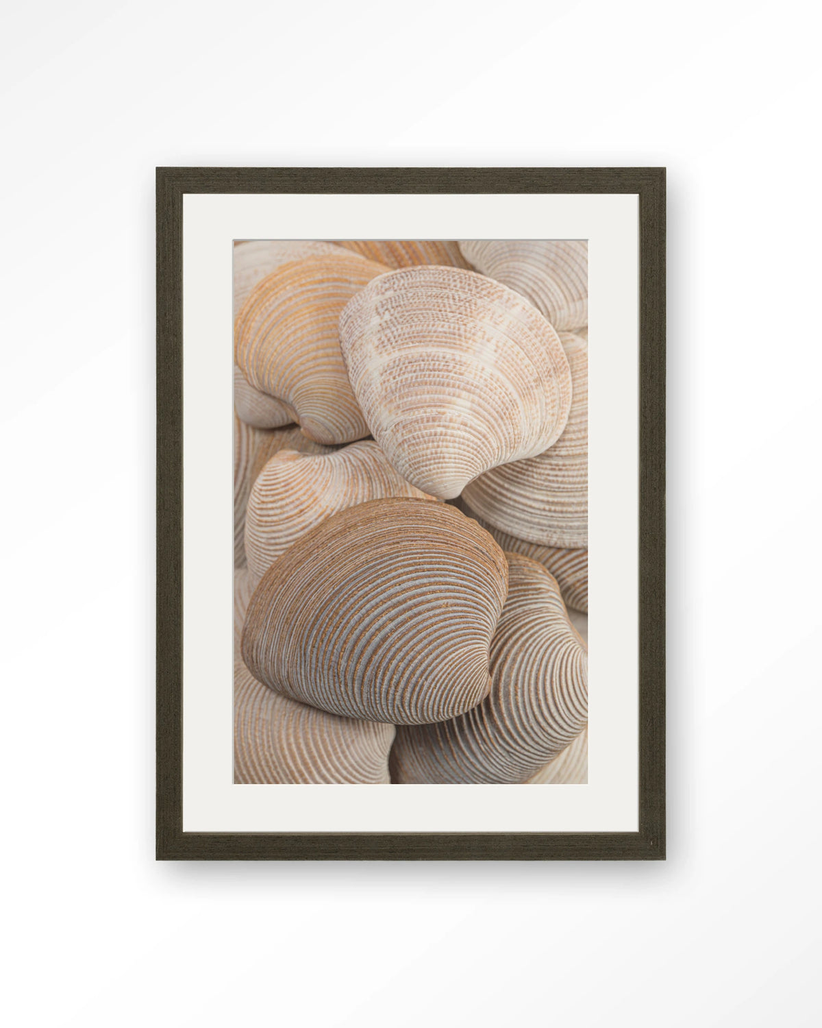 Tijdloze Rust: Samen – schelpen in beige en bruin – Art print – Hout donkerbruin + passe-partout