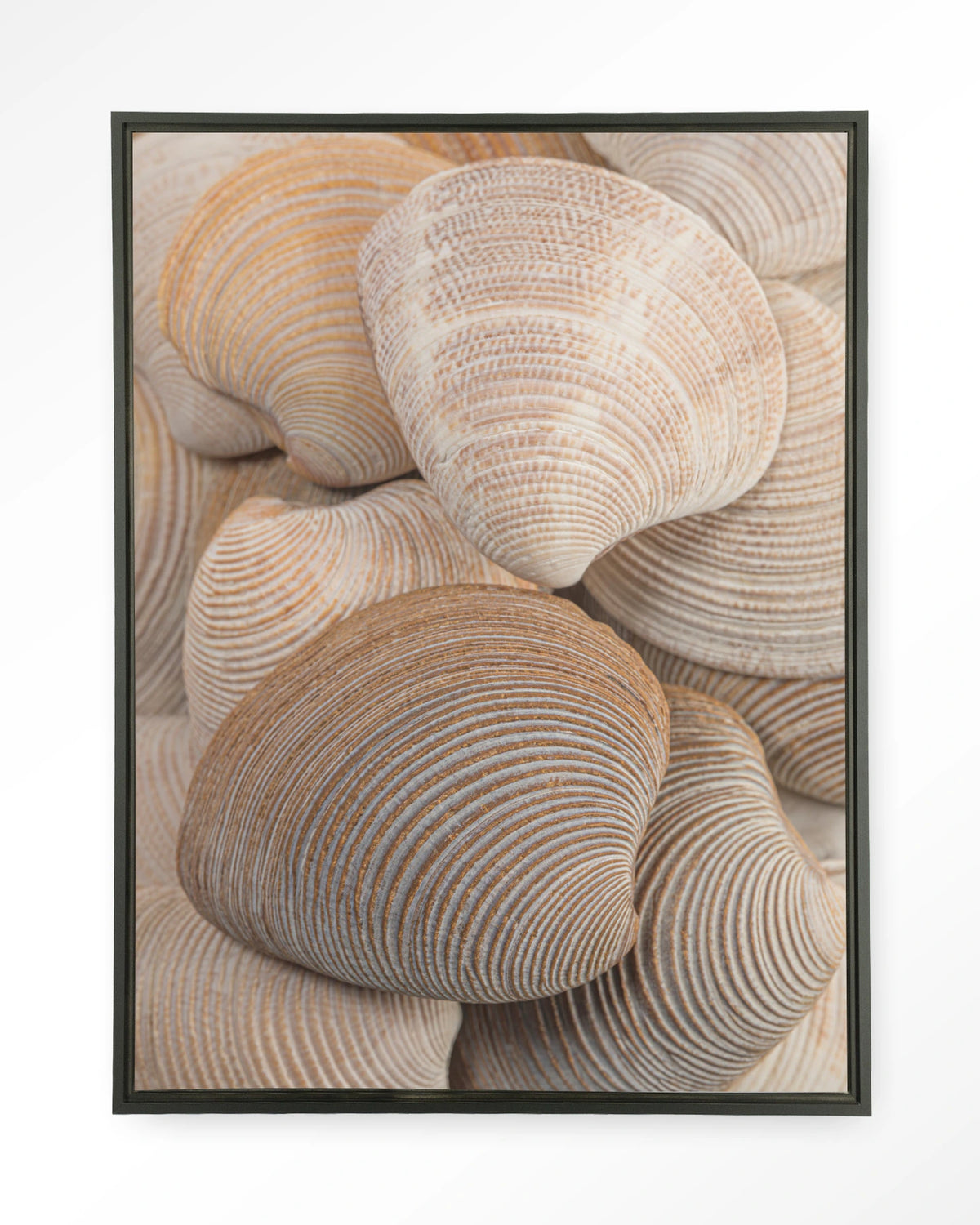 Tijdloze Rust: Samen – schelpen in beige en bruin – Wandkleed – Floating frame – zwart