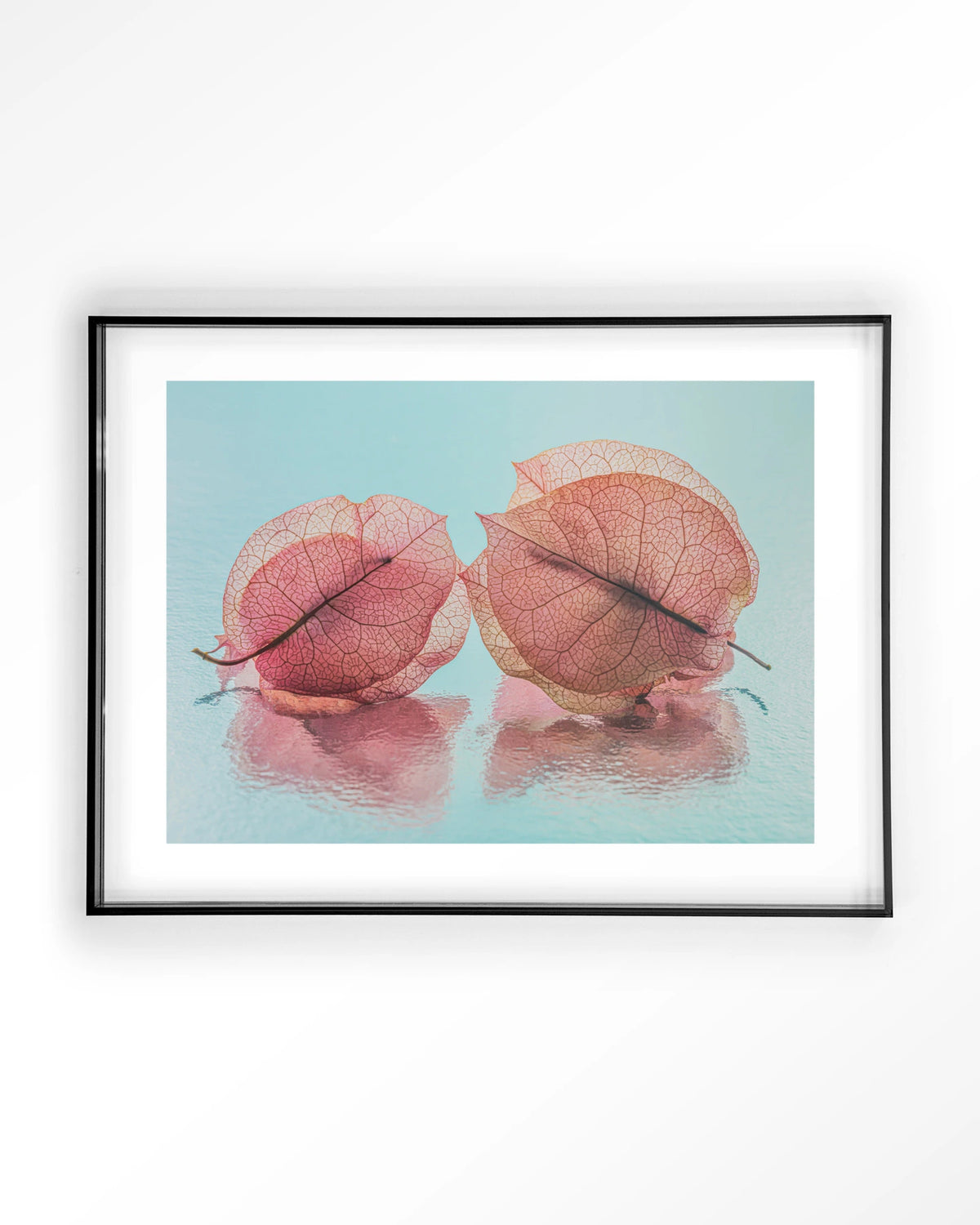 Fragiel Maar Samen – bougainvillea in pastelblauw – Art print – Acryl zwart