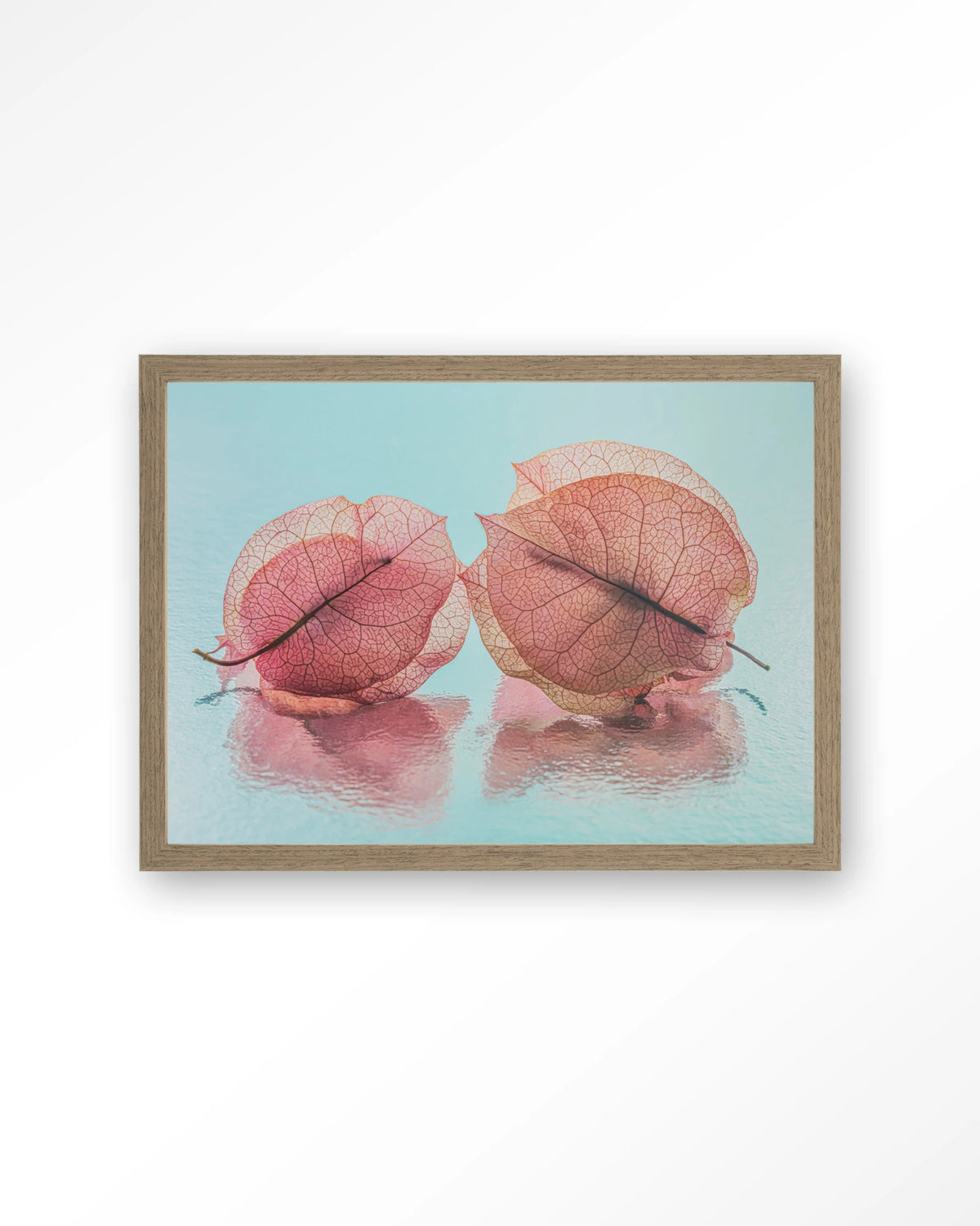 Fragiel Maar Samen – bougainvillea in pastelblauw – Art print – Hout bruin