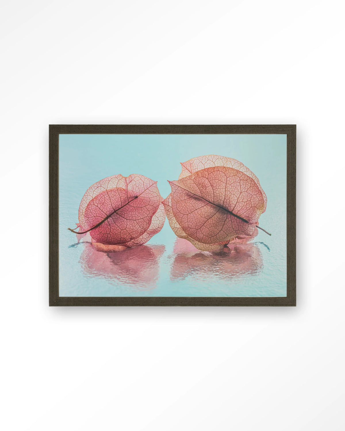 Fragiel Maar Samen – bougainvillea in pastelblauw – Art print – Hout donkerbruin