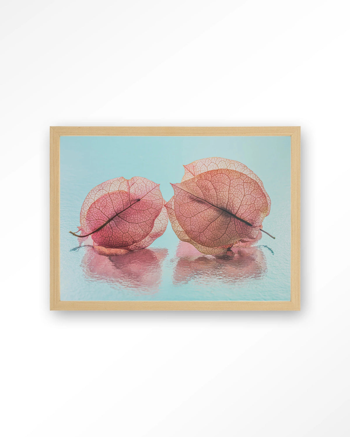 Fragiel Maar Samen – bougainvillea in pastelblauw – Art print – Hout naturel
