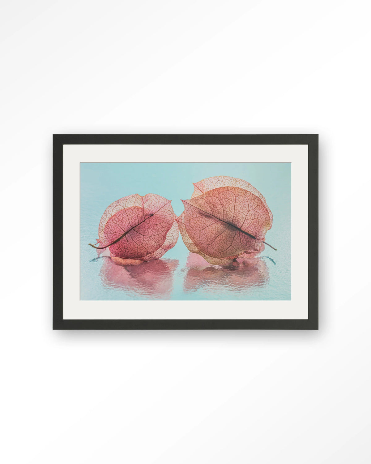 Fragiel Maar Samen – bougainvillea in pastelblauw – Art print – Hout zwart + passe-partout
