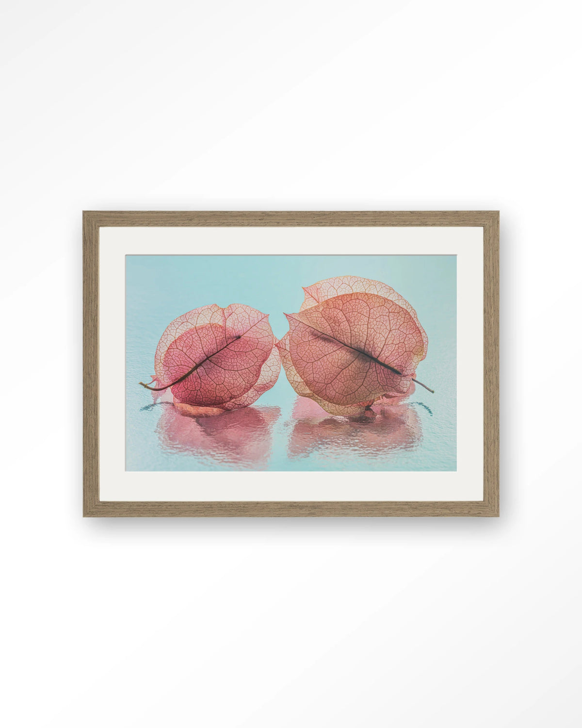 Fragiel Maar Samen – bougainvillea in pastelblauw – Art print – Hout bruin + passe-partout