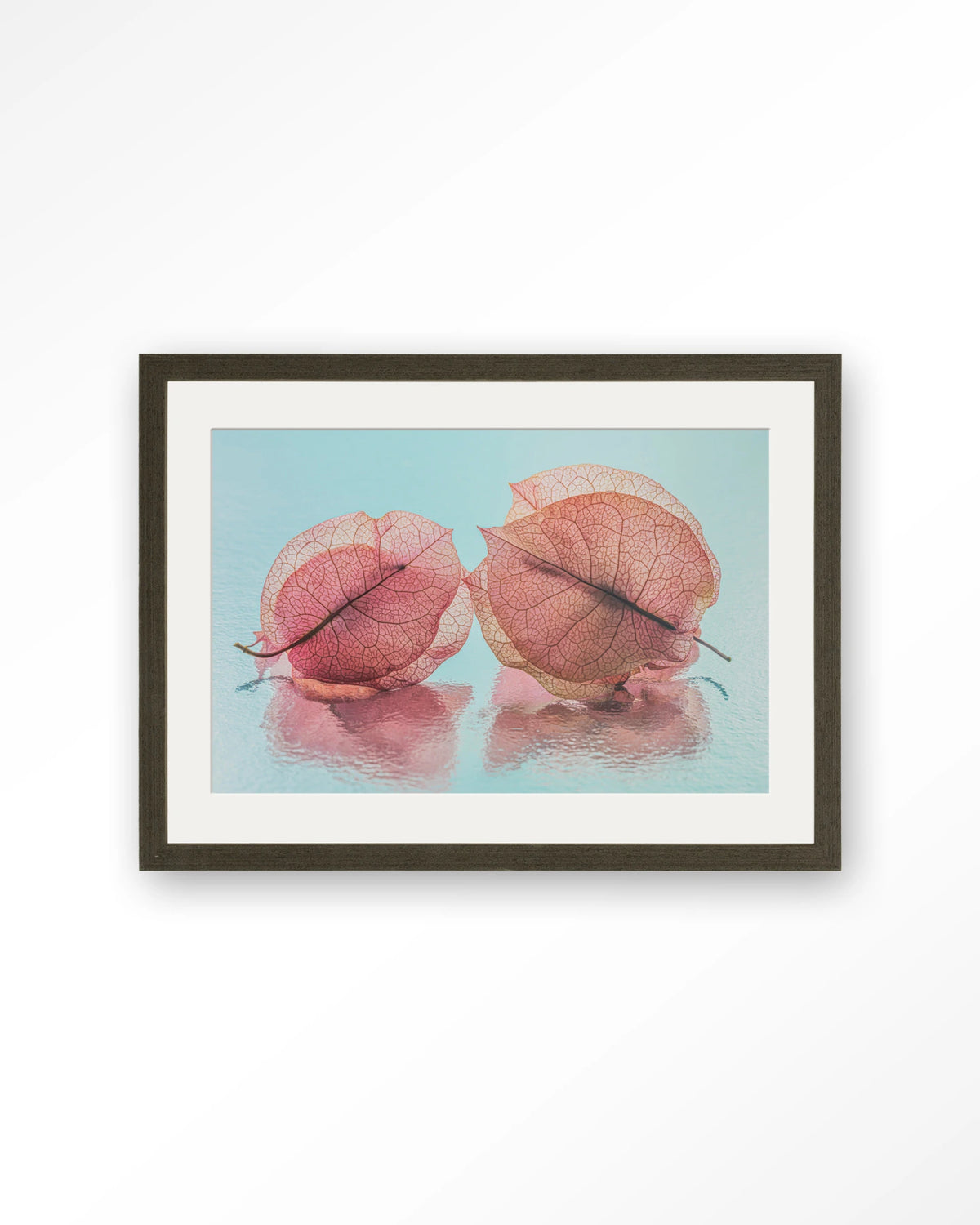 Fragiel Maar Samen – bougainvillea in pastelblauw – Art print – Hout donkerbruin + passe-partout