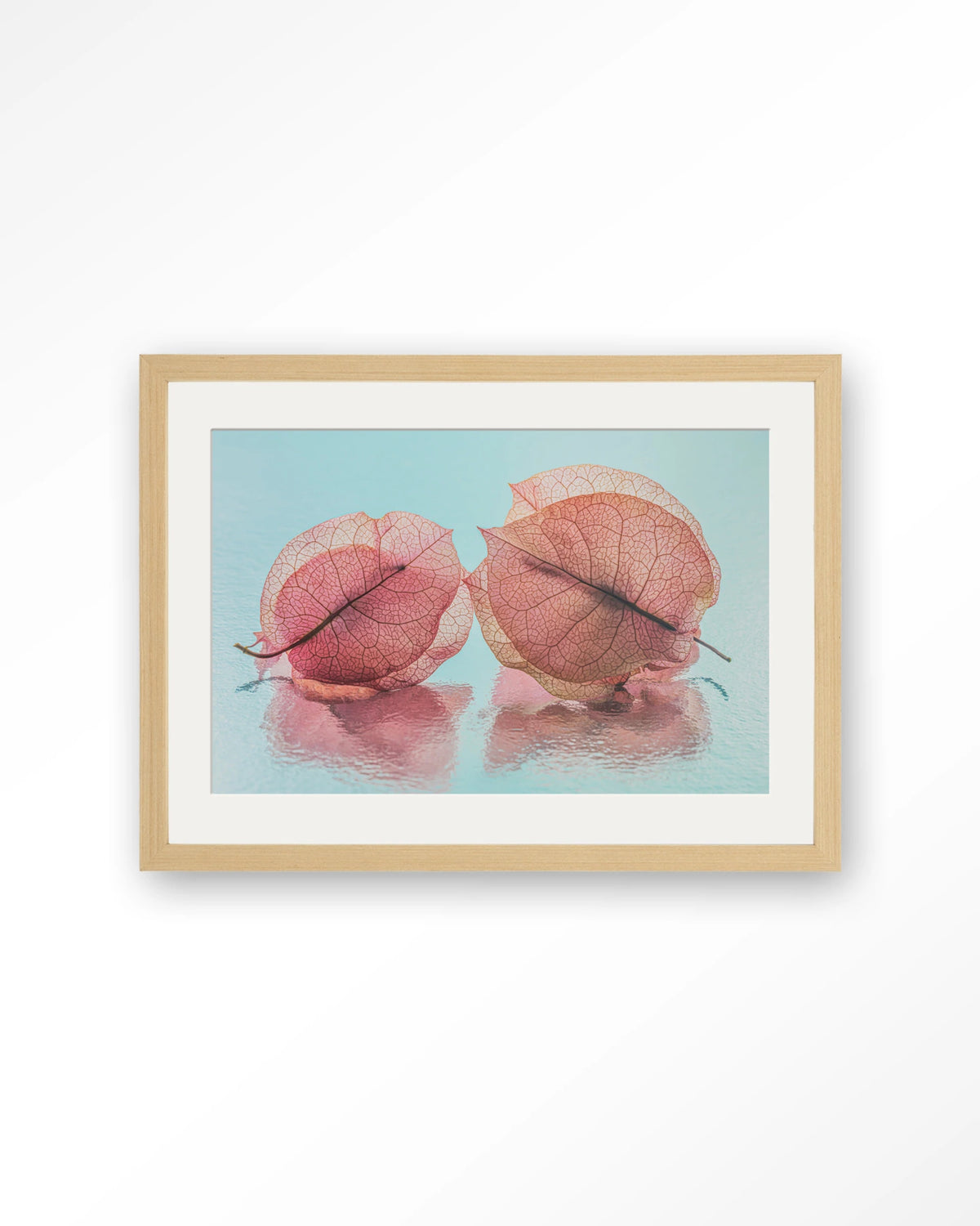 Fragiel Maar Samen – bougainvillea in pastelblauw – Art print – Hout naturel + passe-partout