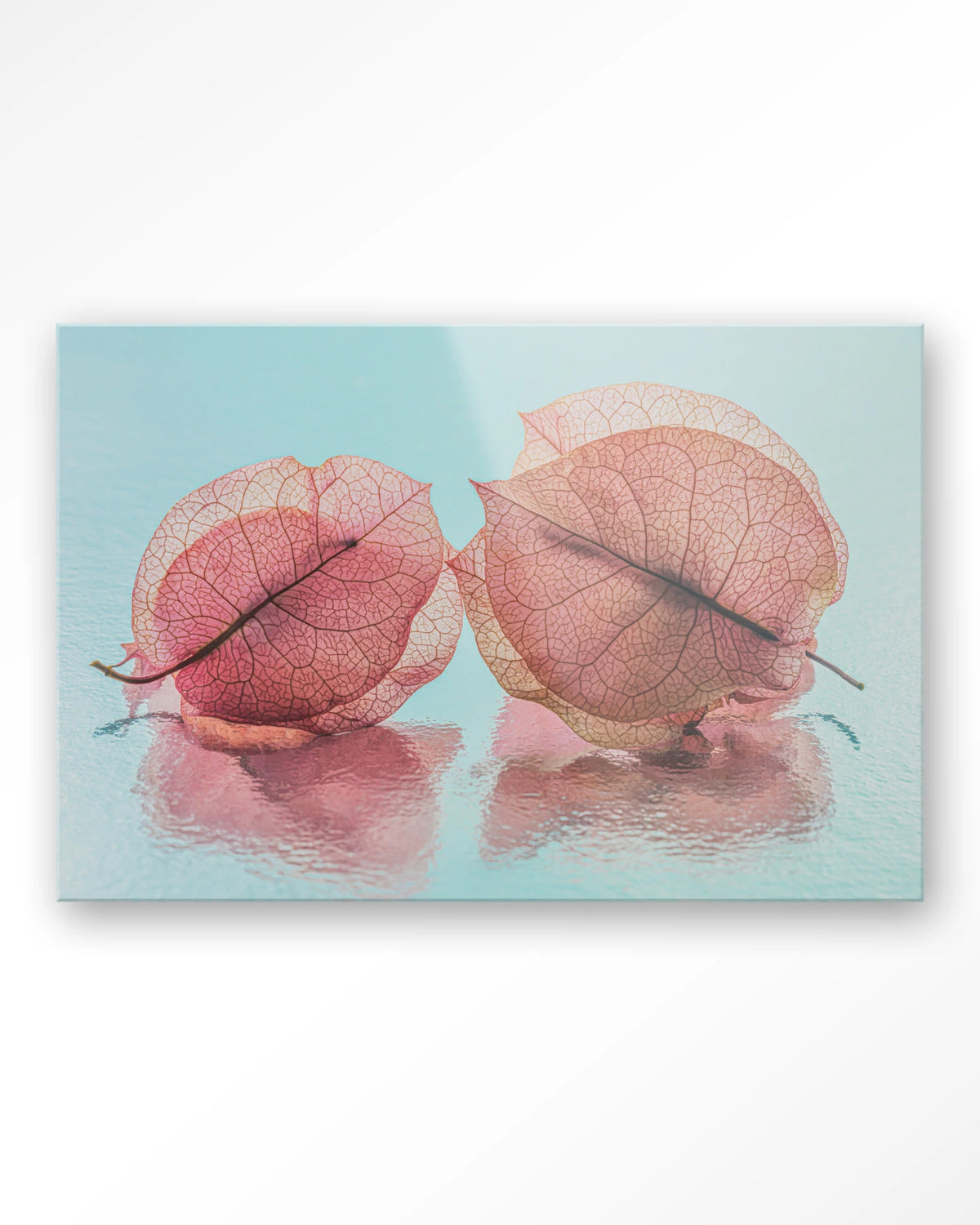 Fragiel Maar Samen – bougainvillea in pastelblauw – Glas – Blinde montage