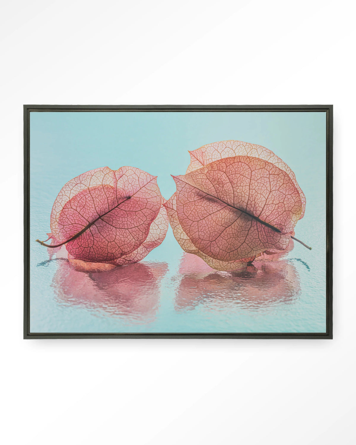 Fragiel Maar Samen – bougainvillea in pastelblauw – Wandkleed – Floating frame – zwart