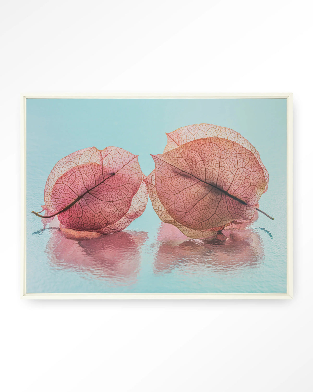 Fragiel Maar Samen – bougainvillea in pastelblauw – Wandkleed – Floating frame – wit
