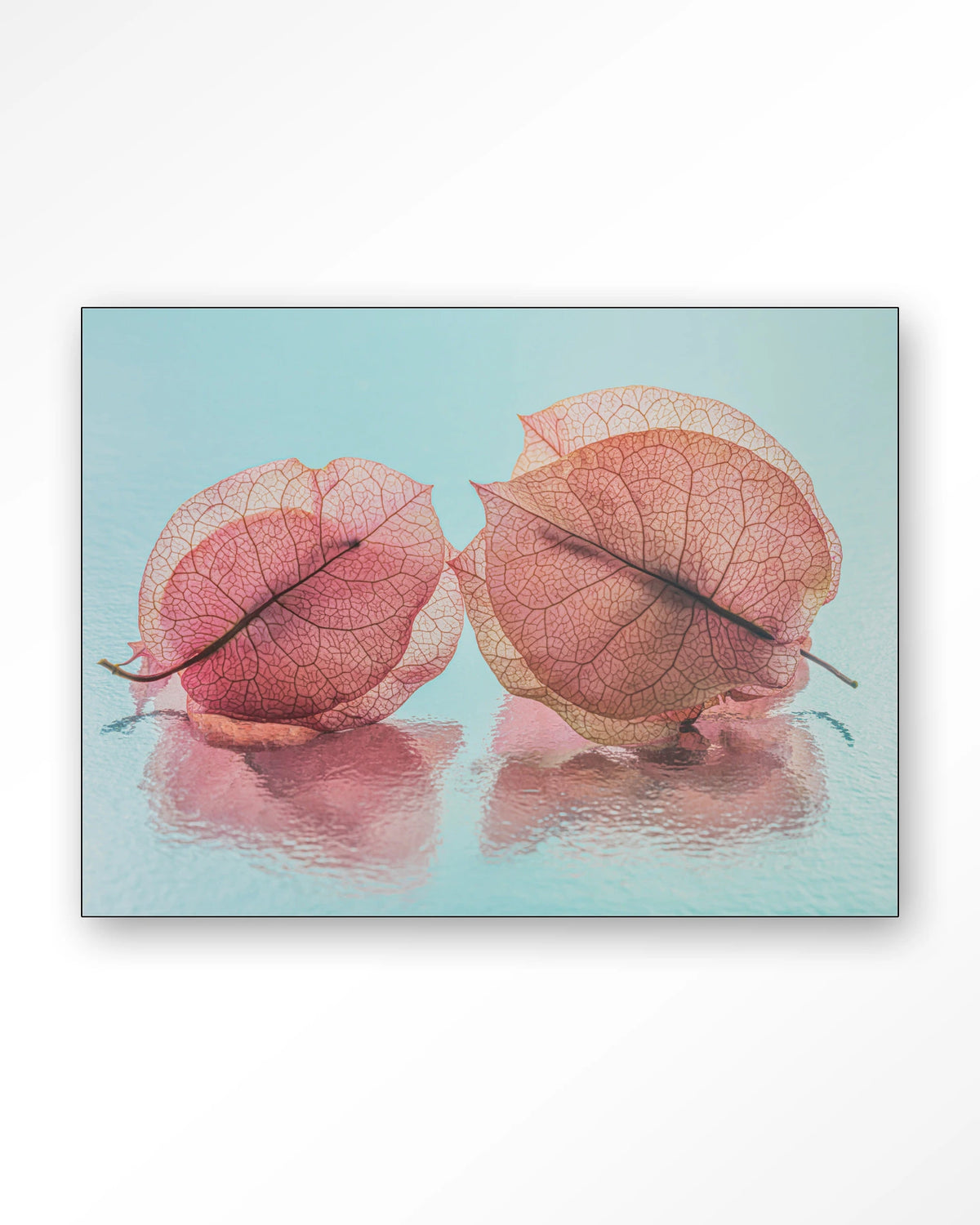 Fragiel Maar Samen – bougainvillea in pastelblauw – Wandkleed – Frame – zwart