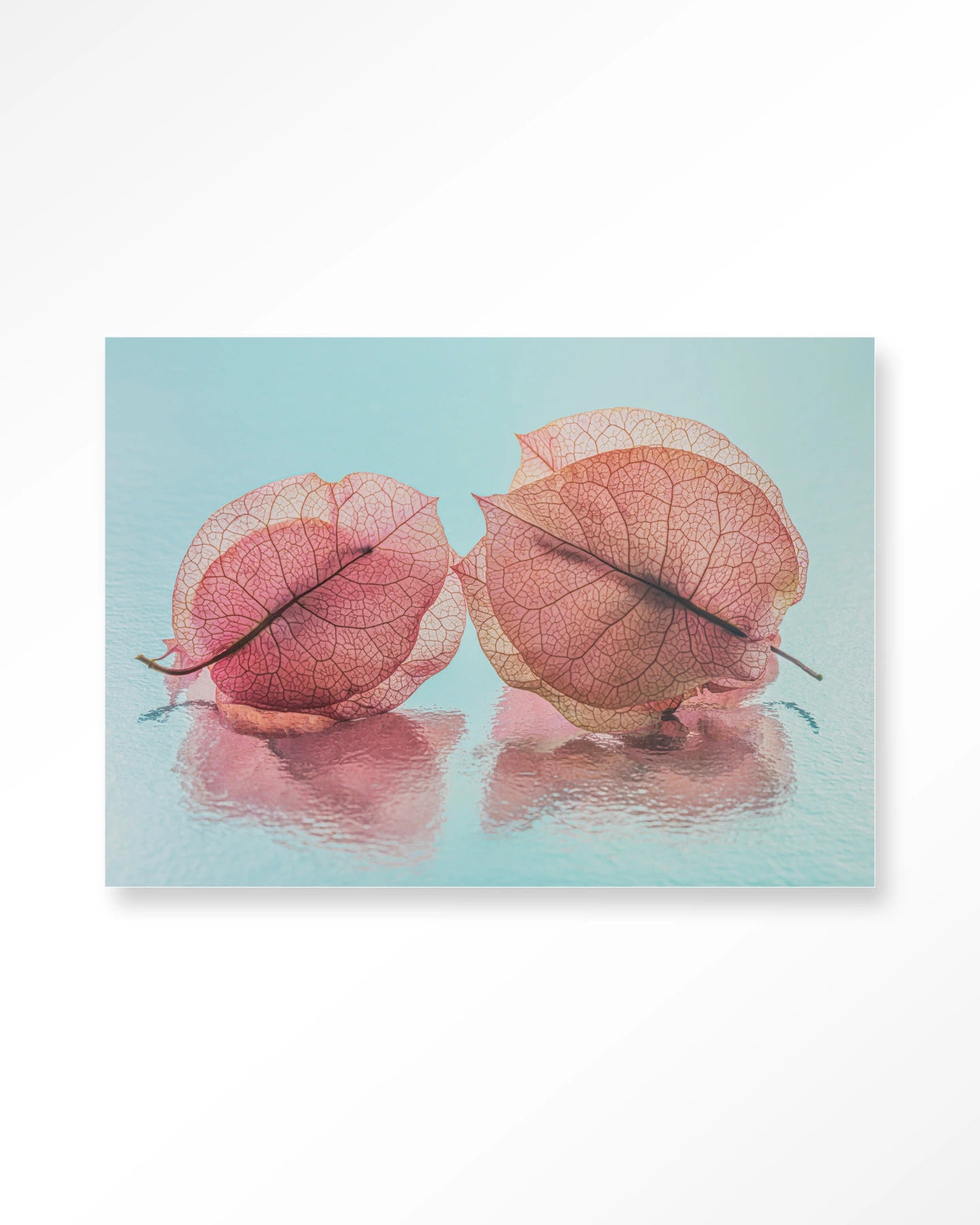 Fragiel Maar Samen – Art Print