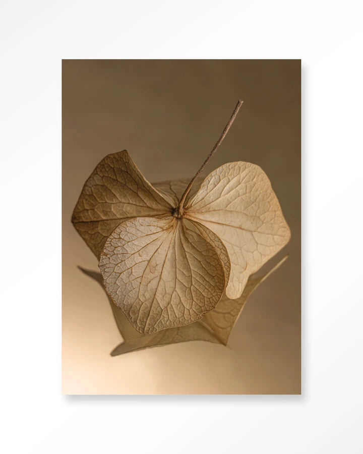 Leaf Me: Sheltered