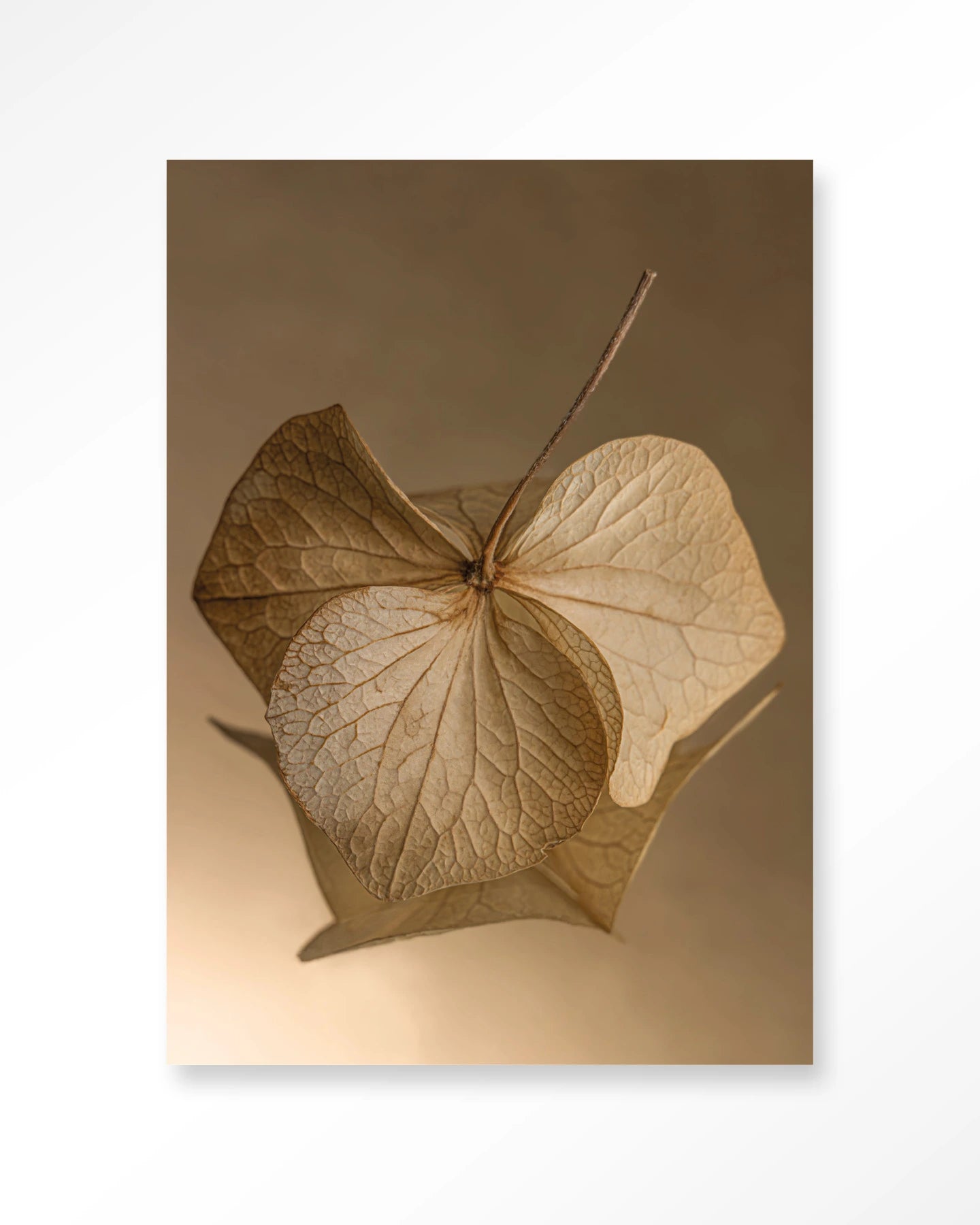 Leaf Me: Sheltered – Wandkleed