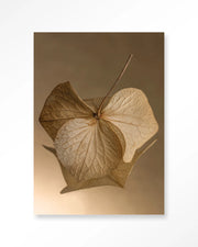 leaf-me-sheltered-glasschilderij