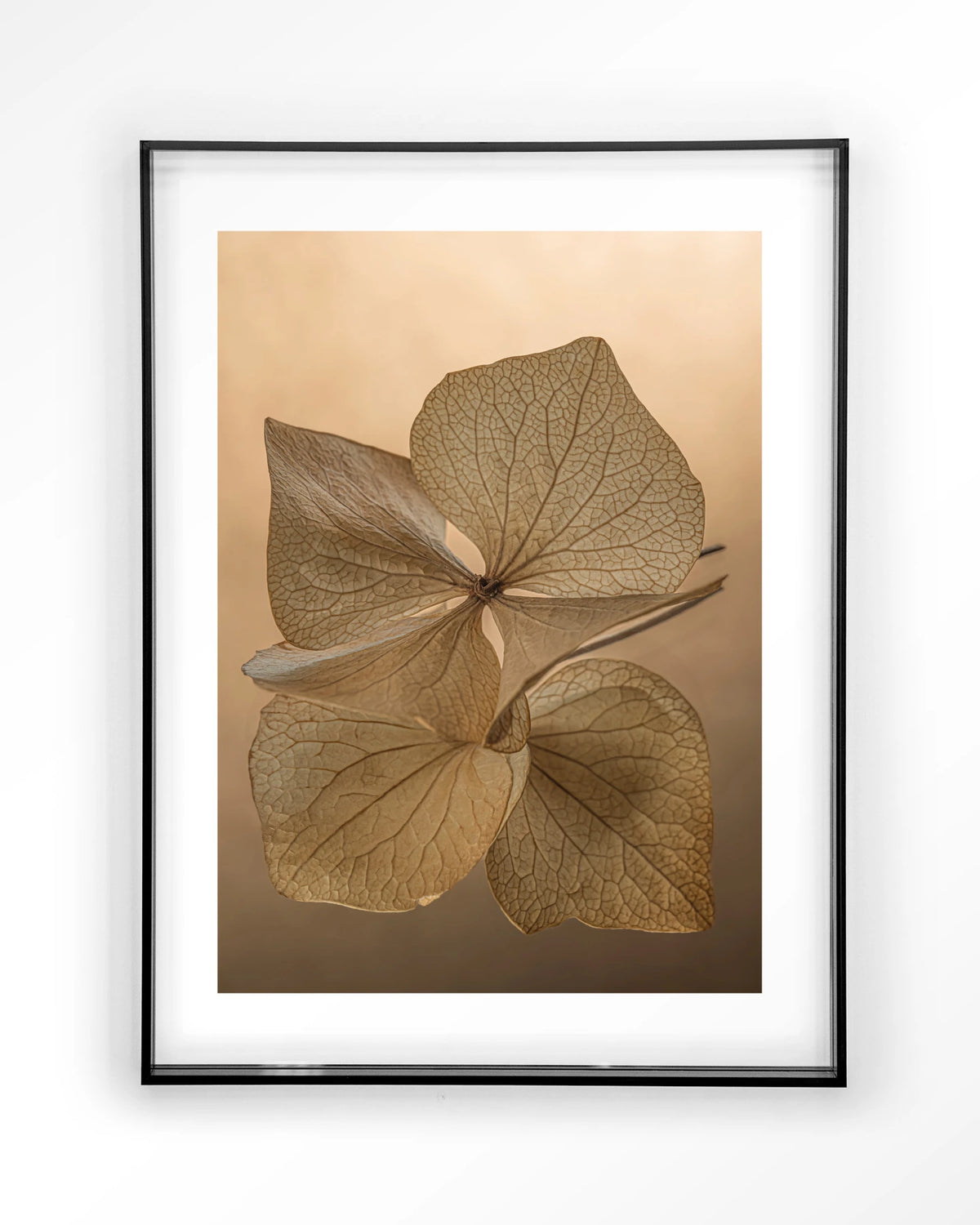Leaf Me: Unfolded – gedroogde bladeren in bruin – Art print – Acryl zwart