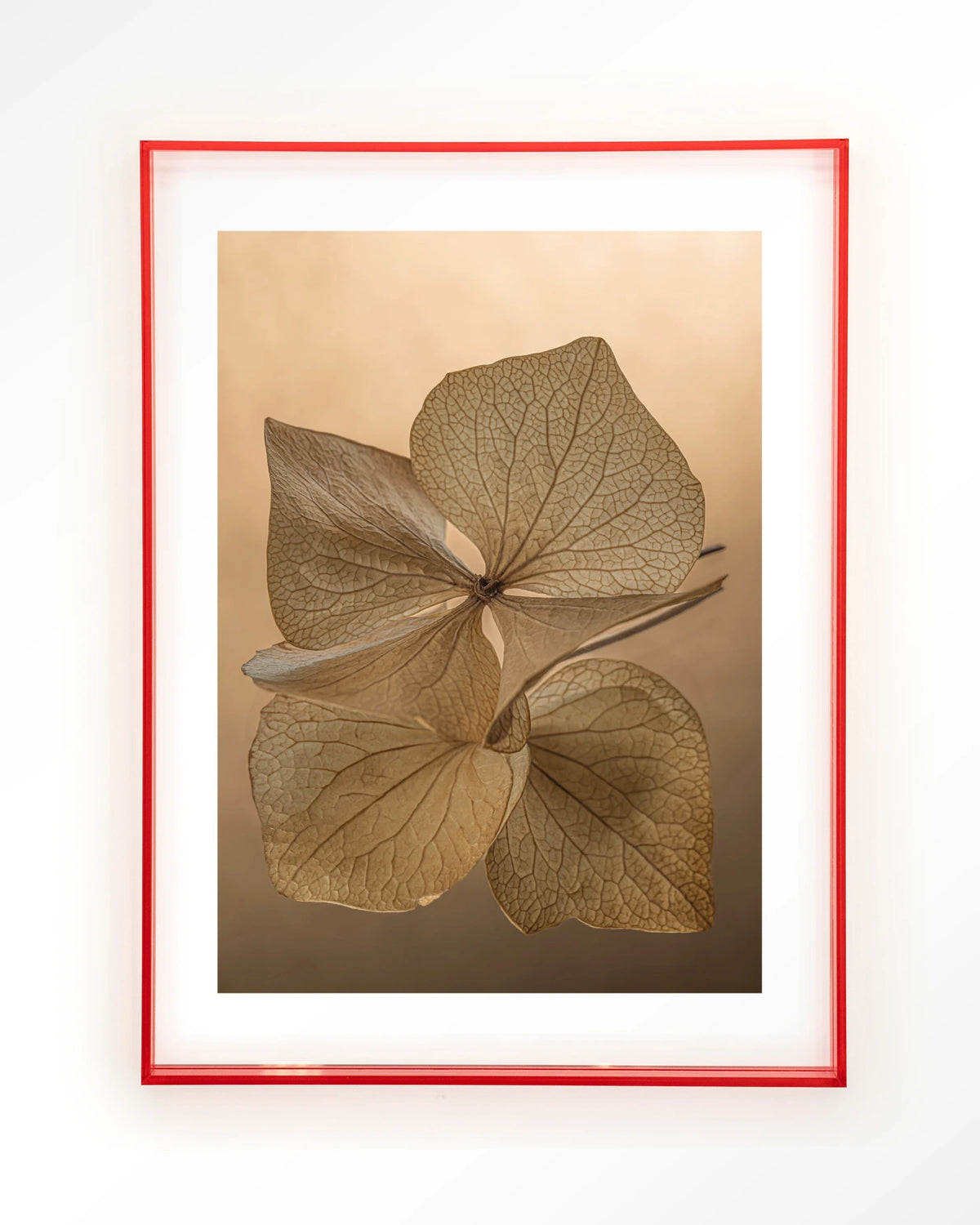 Leaf Me: Unfolded – gedroogde bladeren in bruin – Art print – Acryl roze
