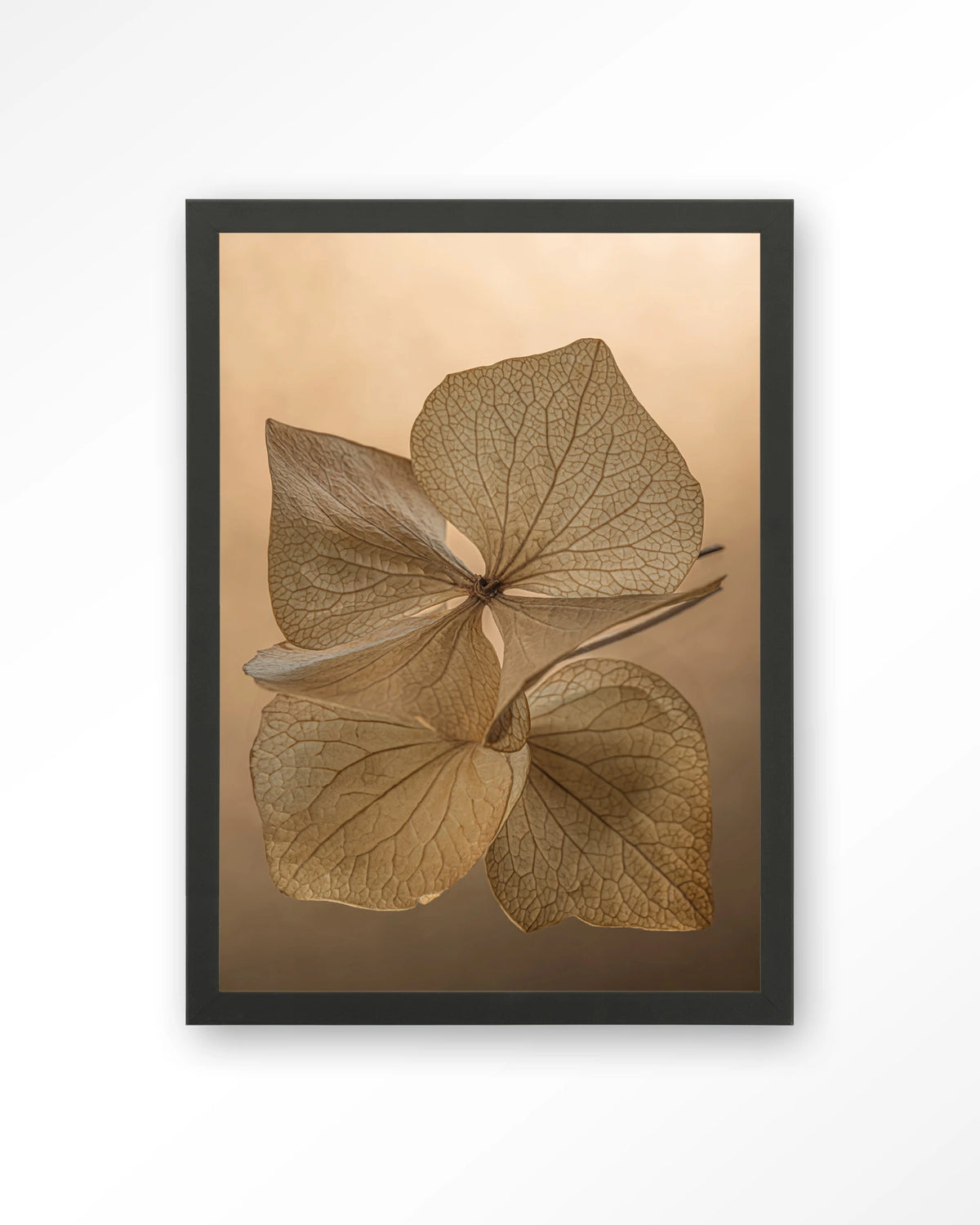 Leaf Me: Unfolded – gedroogde bladeren in bruin – Art print – Hout zwart