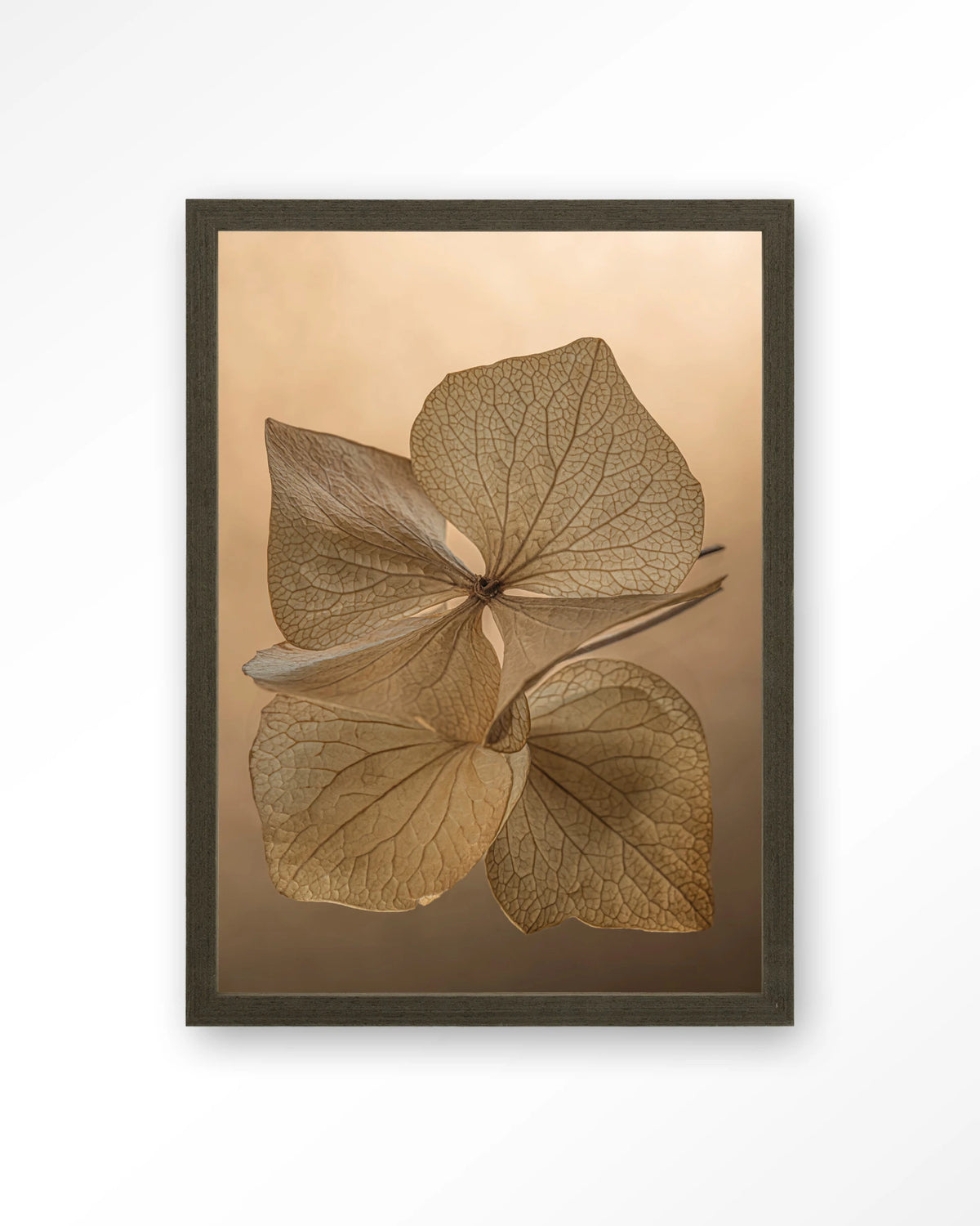 Leaf Me: Unfolded – gedroogde bladeren in bruin – Art print – Hout donkerbruin