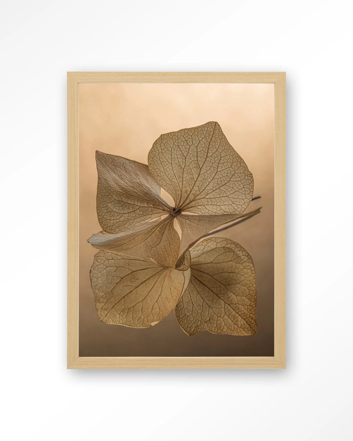 Leaf Me: Unfolded – gedroogde bladeren in bruin – Art print – Hout naturel