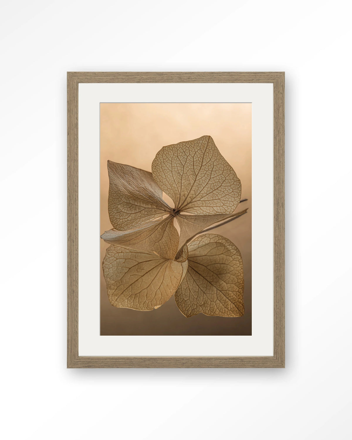 Leaf Me: Unfolded – gedroogde bladeren in bruin – Art print – Hout bruin + passe-partout