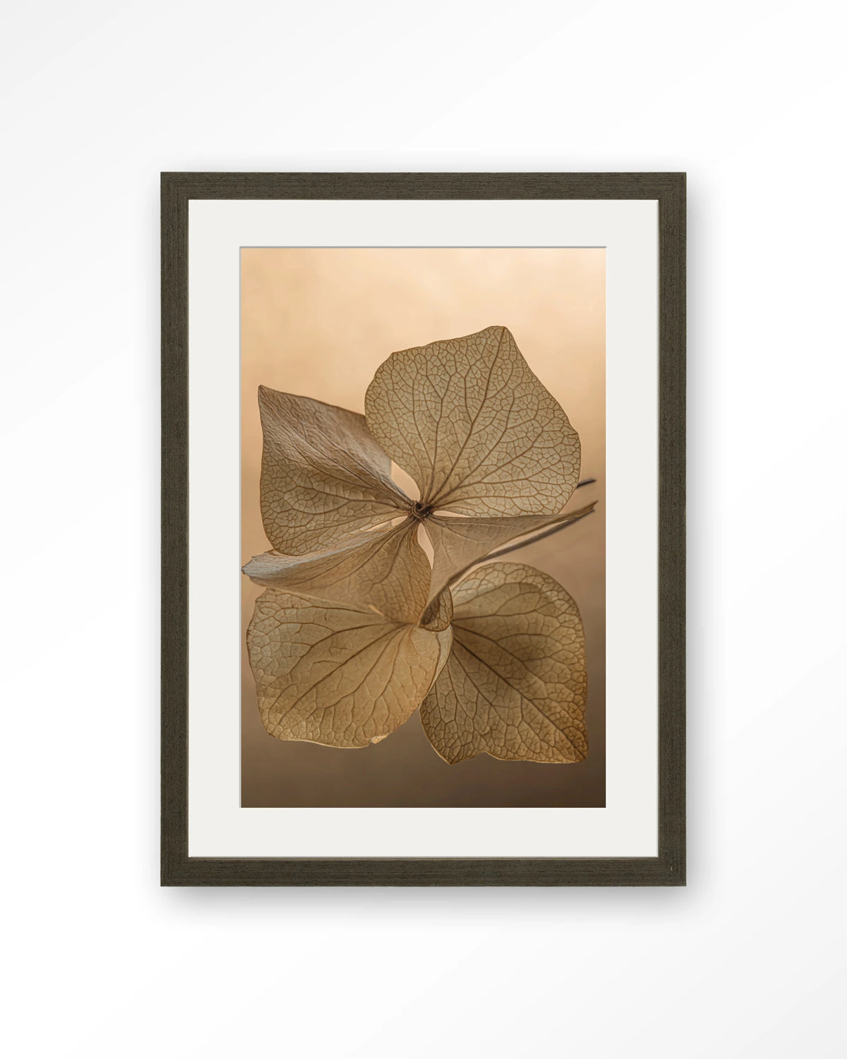 Leaf Me: Unfolded – gedroogde bladeren in bruin – Art print – Hout donkerbruin + passe-partout