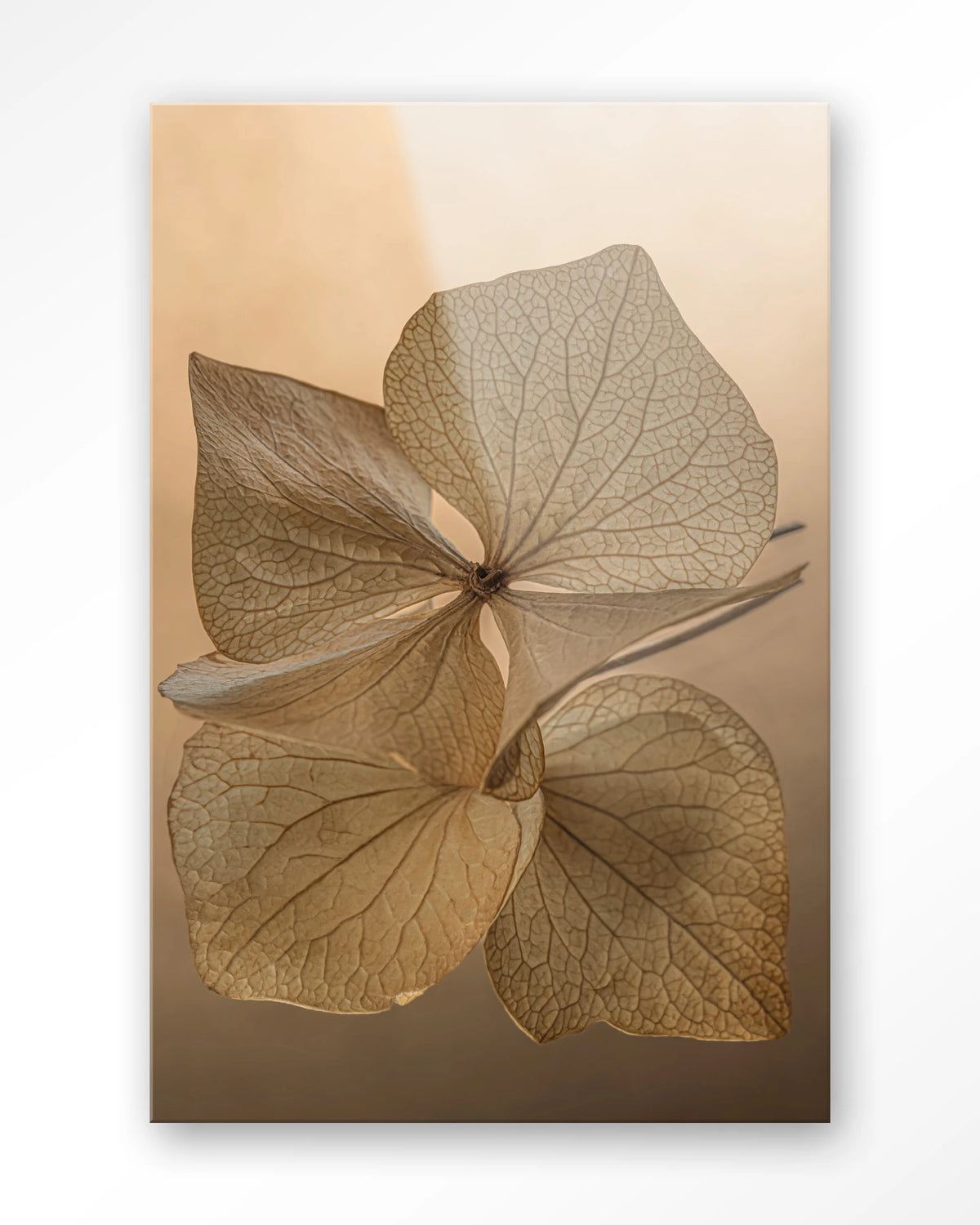 Leaf Me: Unfolded – gedroogde bladeren in bruin – Glas – Blinde montage