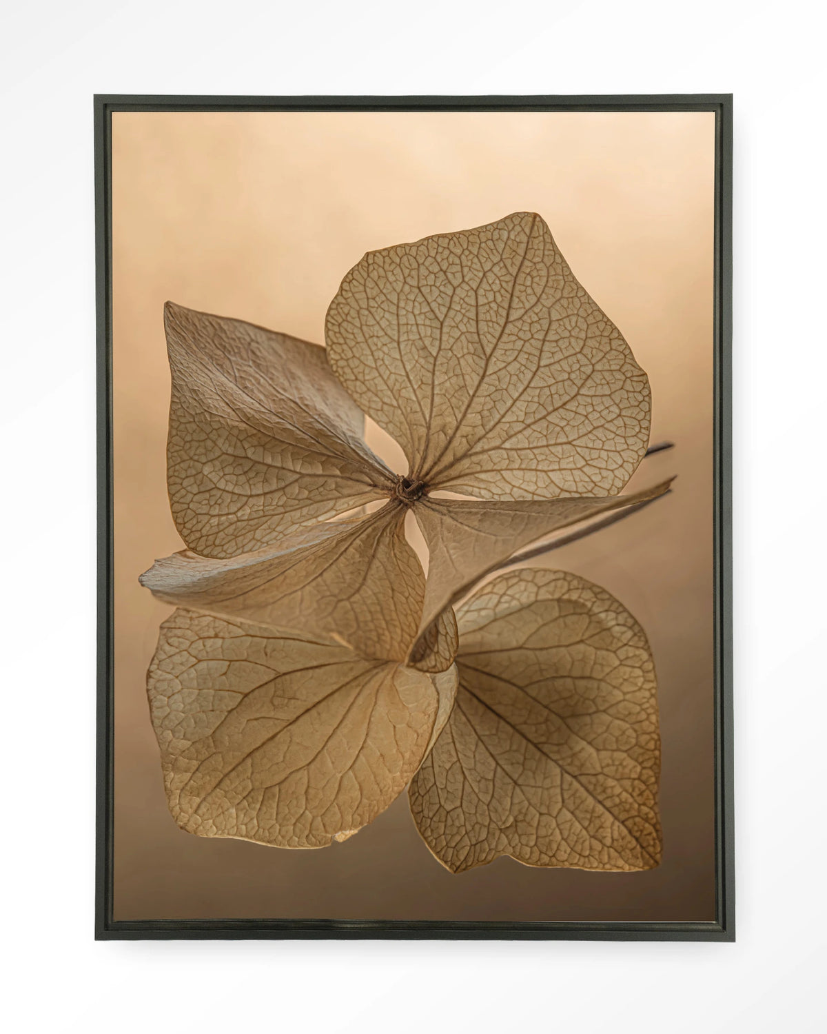 Leaf Me: Unfolded – gedroogde bladeren in bruin – Wandkleed – Floating frame – zwart