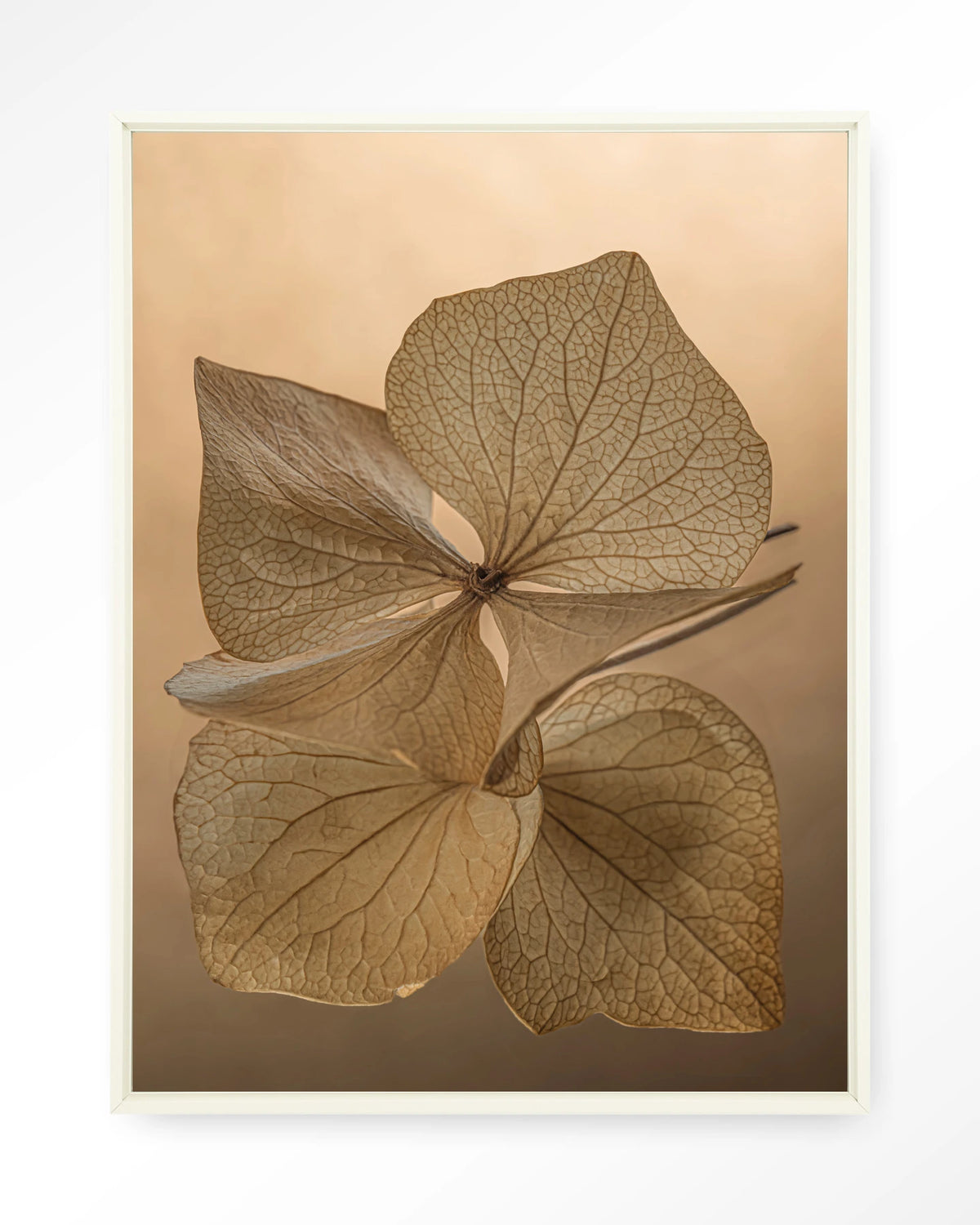 Leaf Me: Unfolded – gedroogde bladeren in bruin – Wandkleed – Floating frame – wit