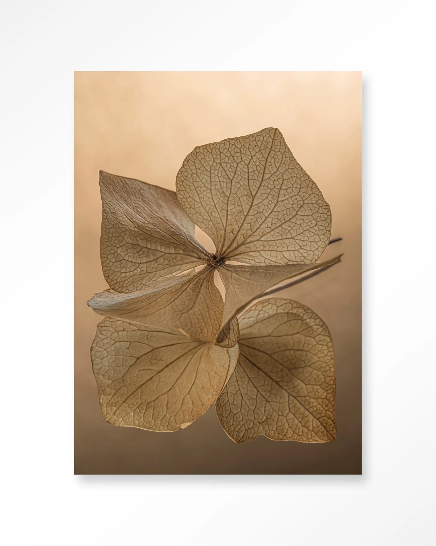 Leaf Me: Unfolded – Wandkleed