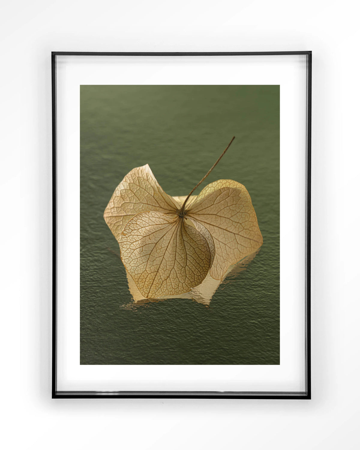 Leaf Me: In The Green – gedroogd blad op groene achtergrond – Art print – Acryl zwart