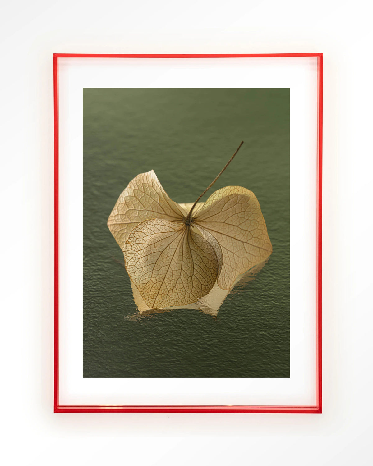 Leaf Me: In The Green – gedroogd blad op groene achtergrond – Art print – Acryl roze