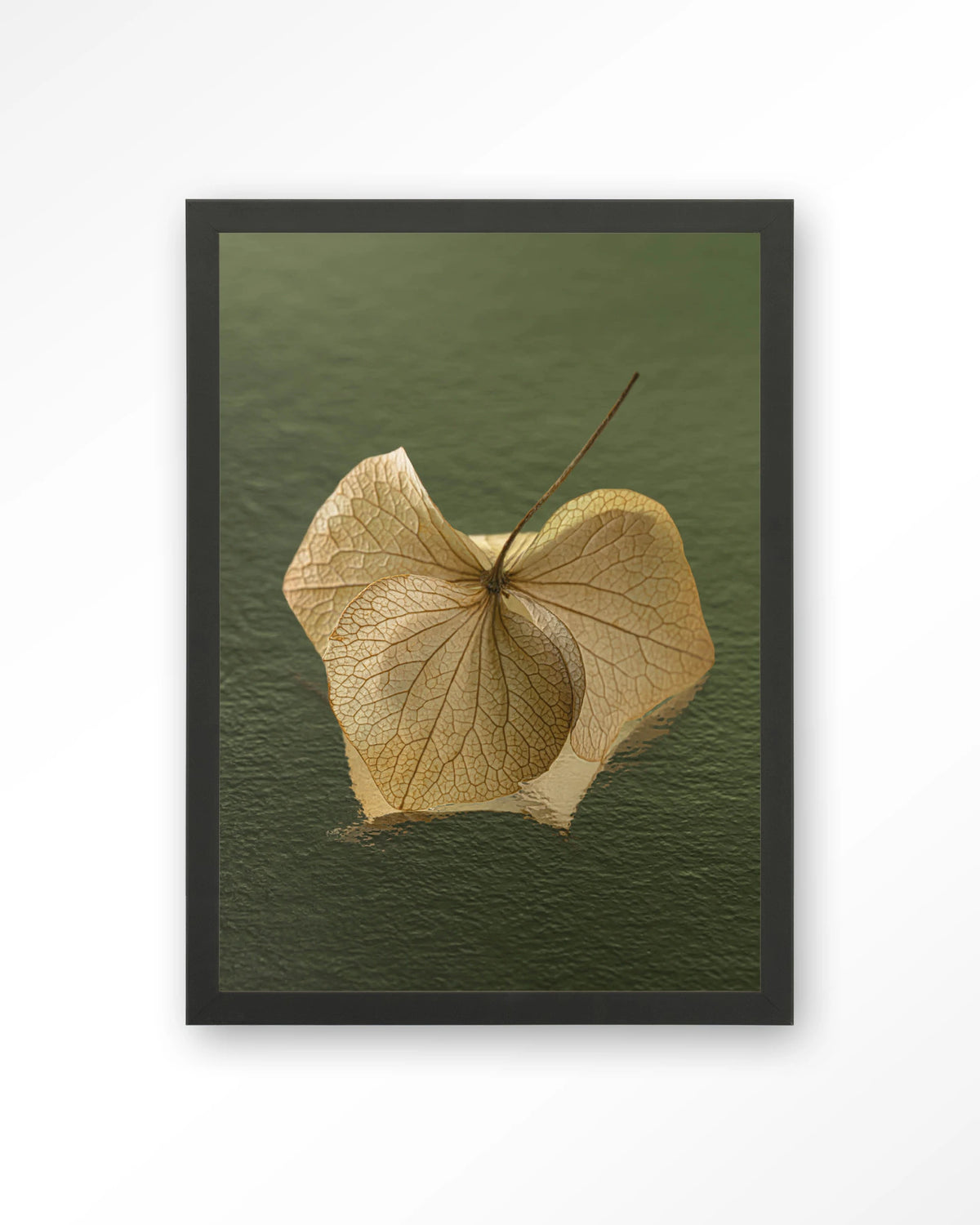 Leaf Me: In The Green – gedroogd blad op groene achtergrond – Art print – Hout zwart