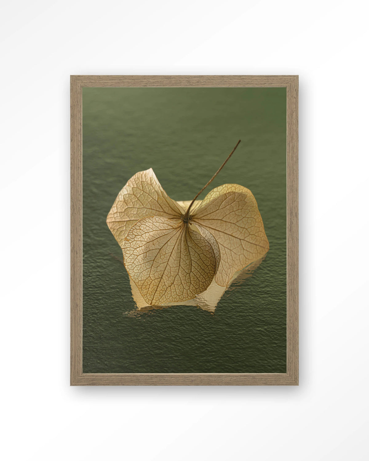 Leaf Me: In The Green – gedroogd blad op groene achtergrond – Art print – Hout bruin