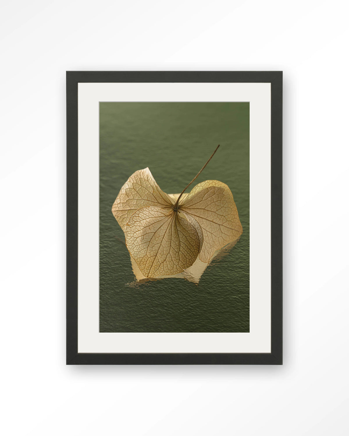 Leaf Me: In The Green – gedroogd blad op groene achtergrond – Art print – Hout zwart + passe-partout