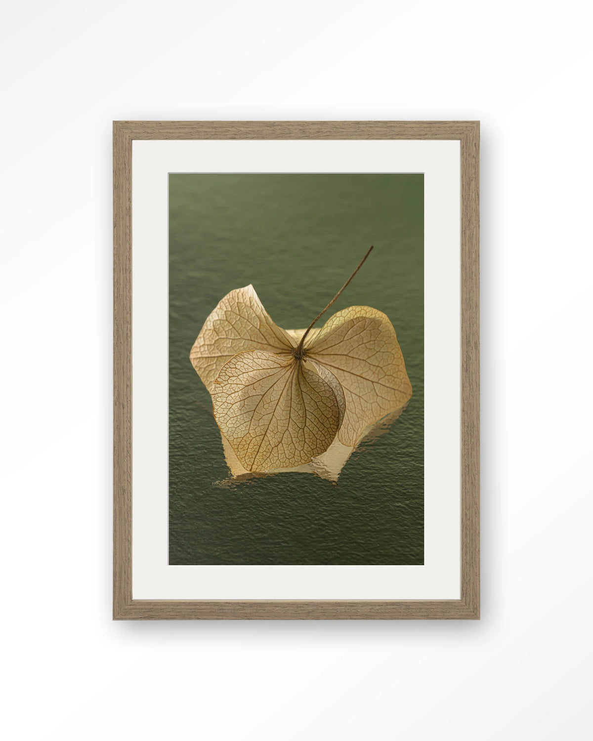 Leaf Me: In The Green – gedroogd blad op groene achtergrond – Art print – Hout bruin + passe-partout